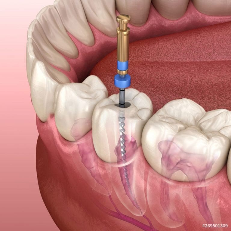 AFM dental clinic & medical center — Dentists