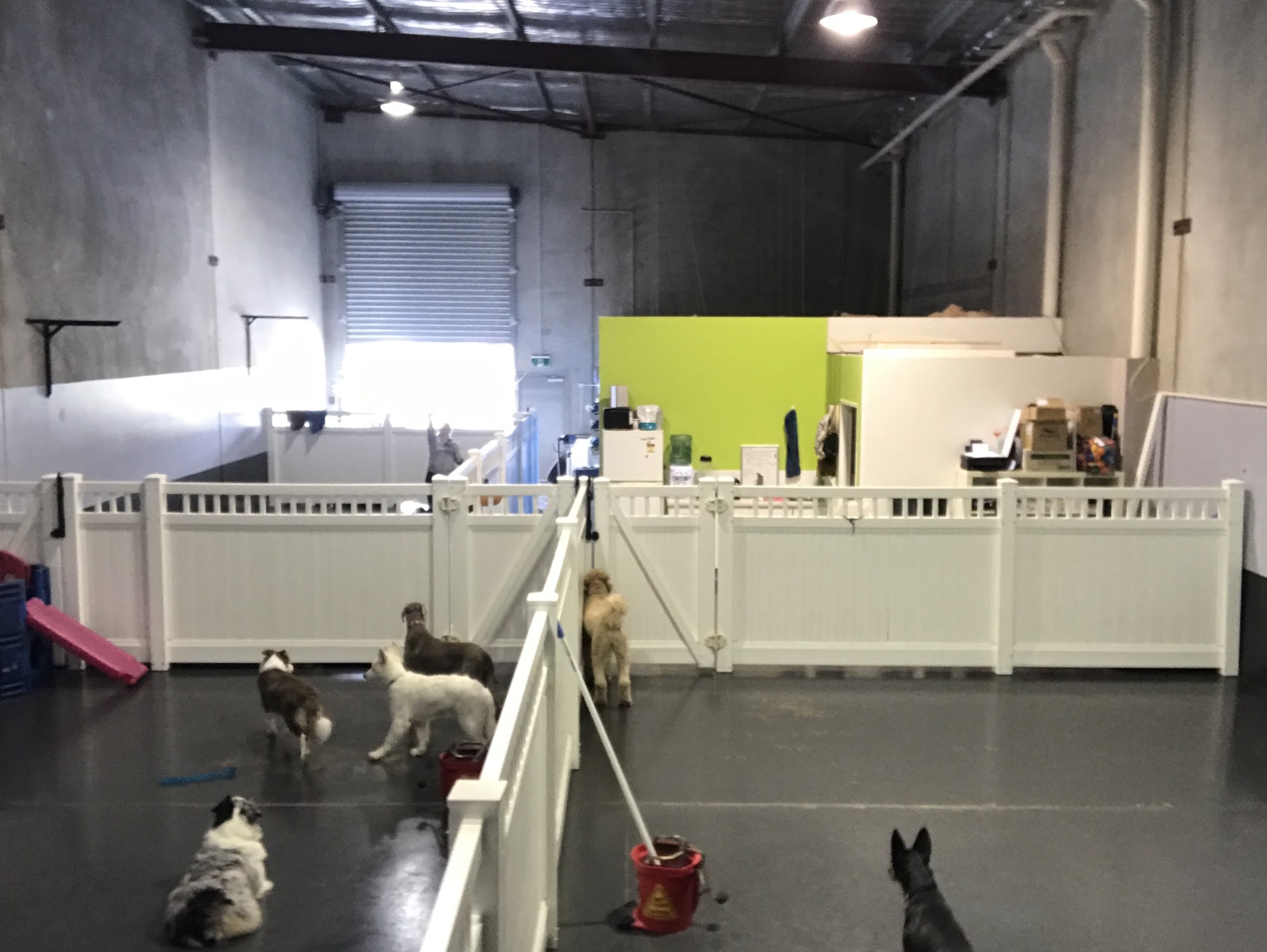 K9 Playtime Doggy Daycare & Dog Grooming