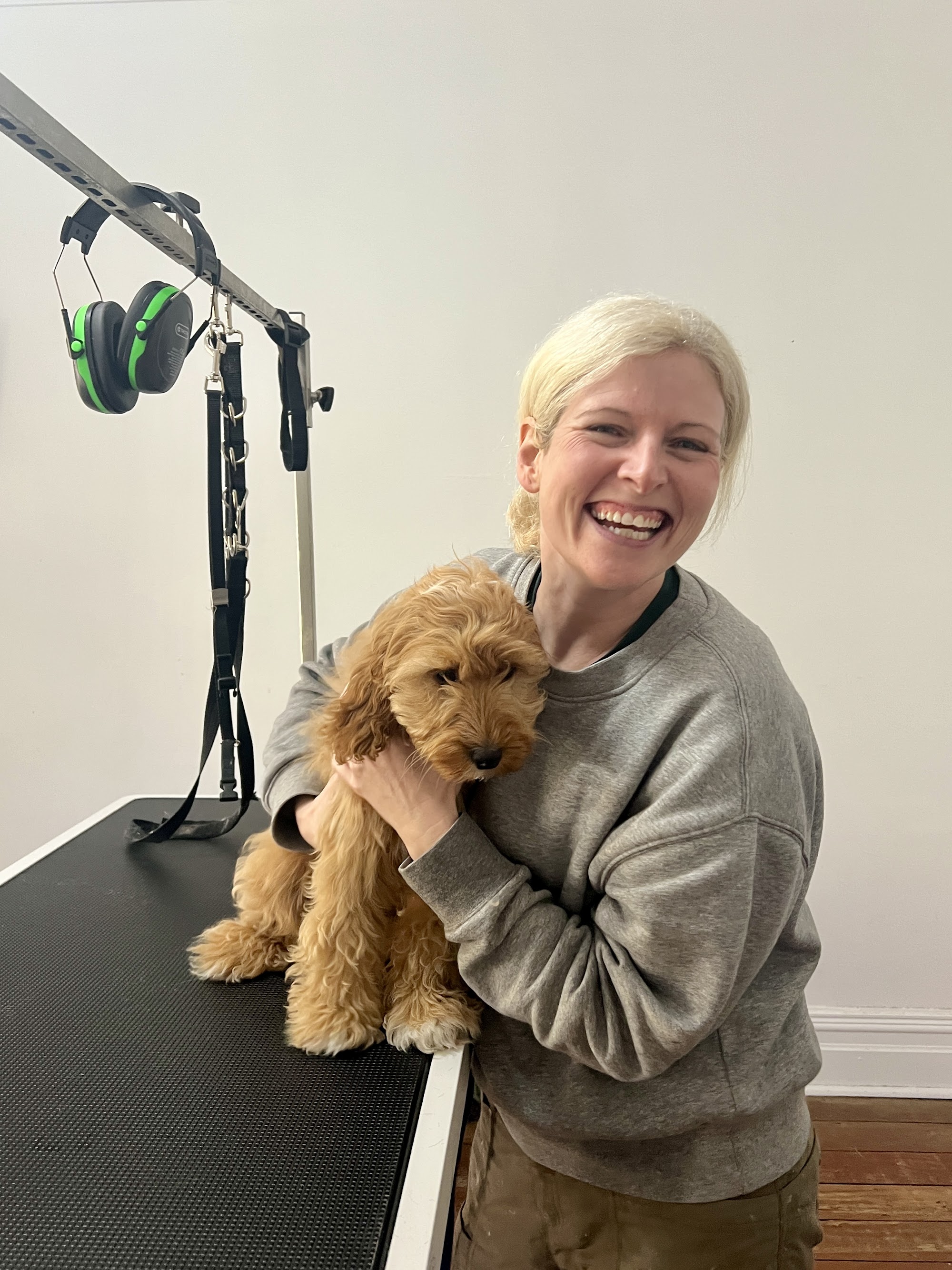 Dashing Hounds Grooming Studio — Pet Groomers