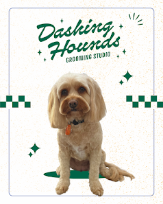 Dashing Hounds Grooming Studio logo