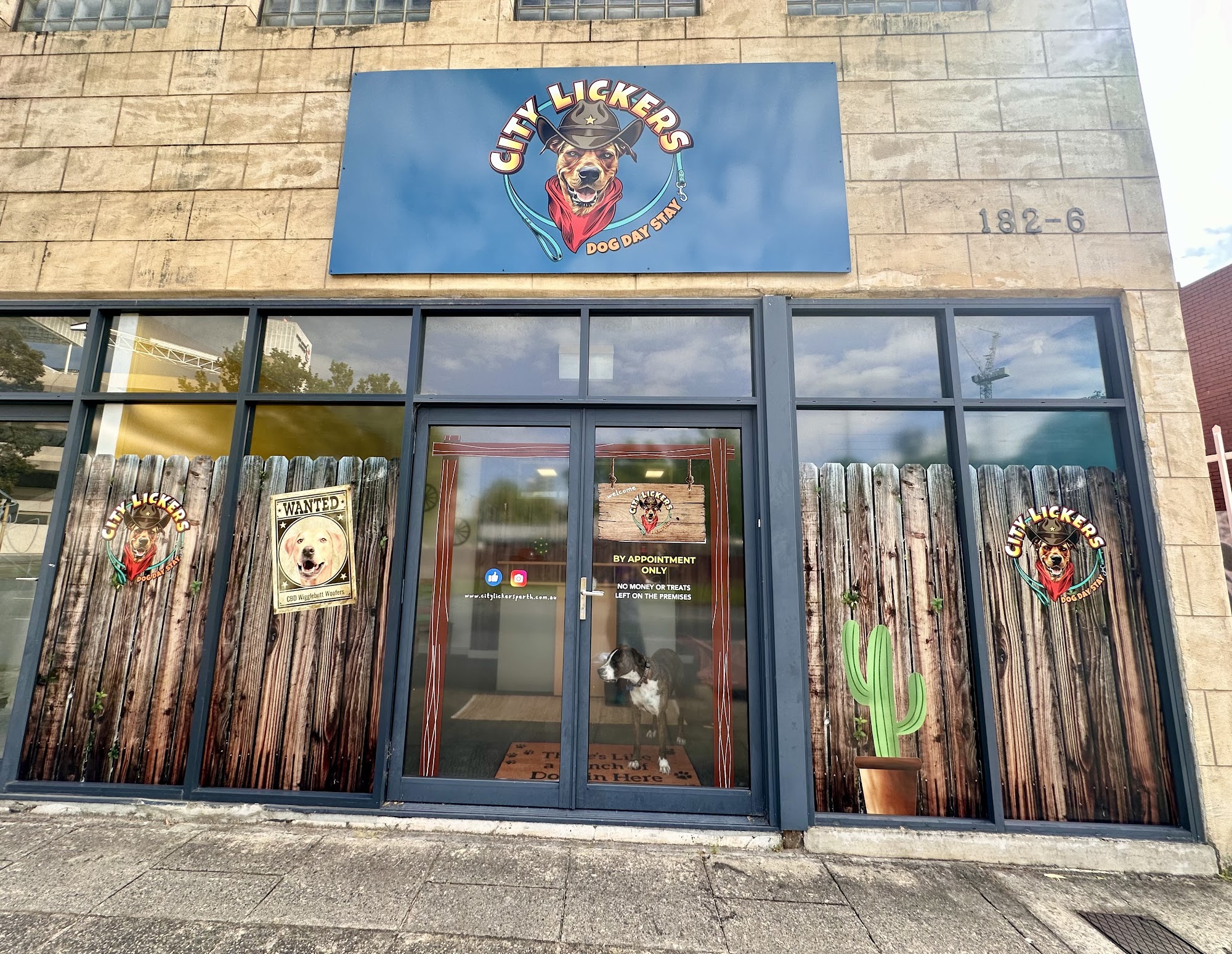 City Lickers Dog Day Stay - Doggy Day Care Perth — Pet Groomers