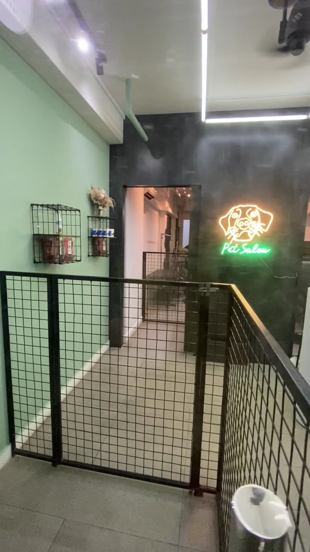 Dirty Dogs Pte Ltd