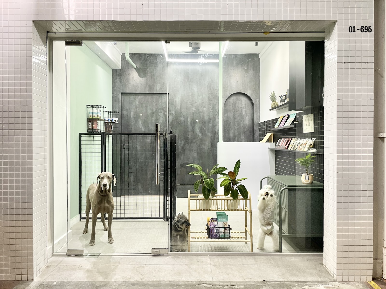 Dirty Dogs Pte Ltd — Pet Groomers
