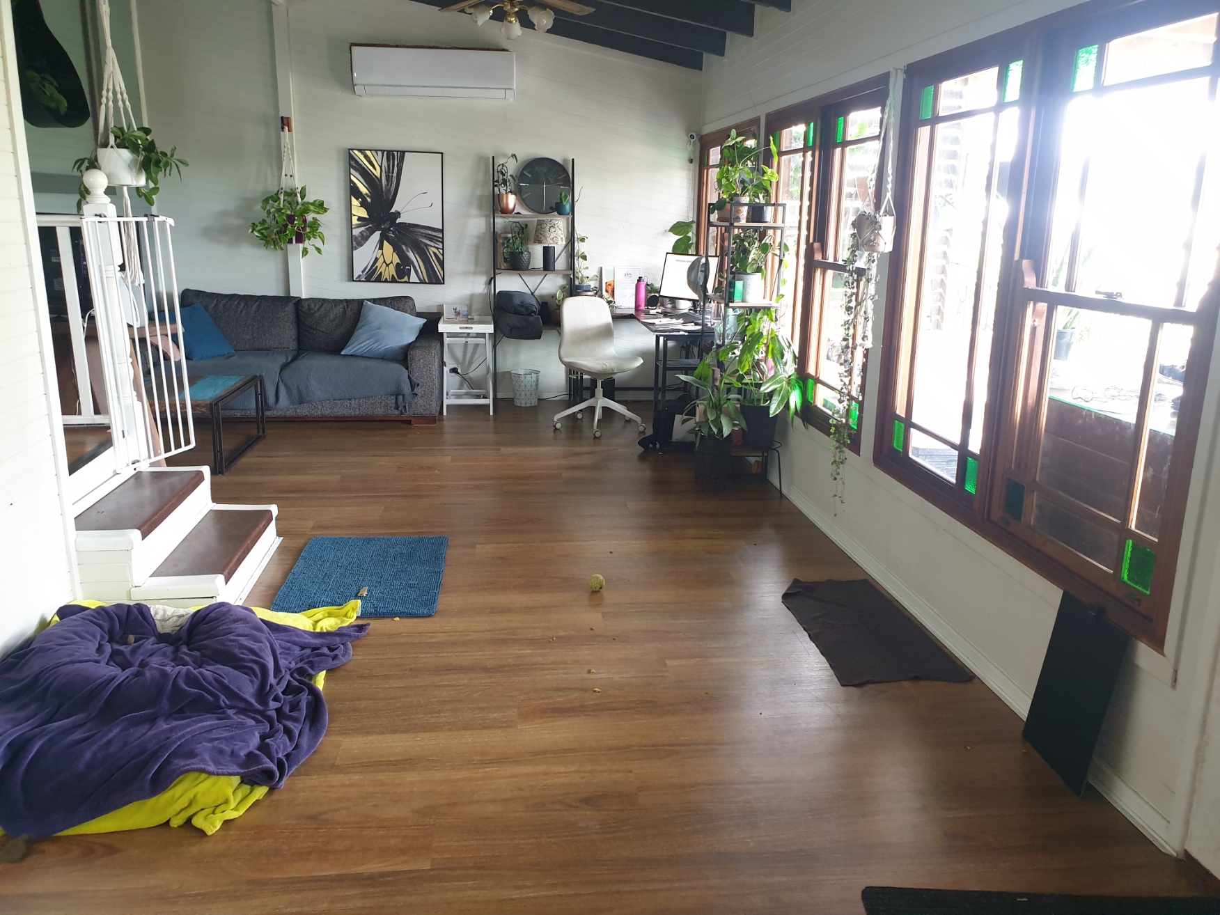 DOGGY RETREAT — Pet Groomers
