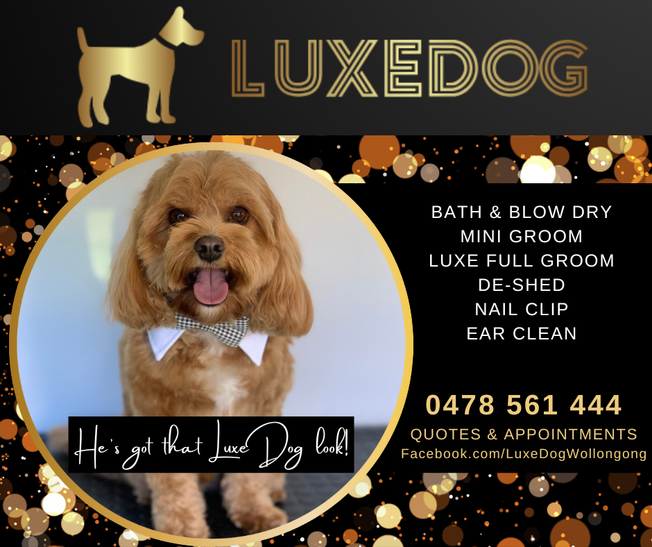 LuxeDog Mobile Grooming - Wollongong / Illawarra NSW