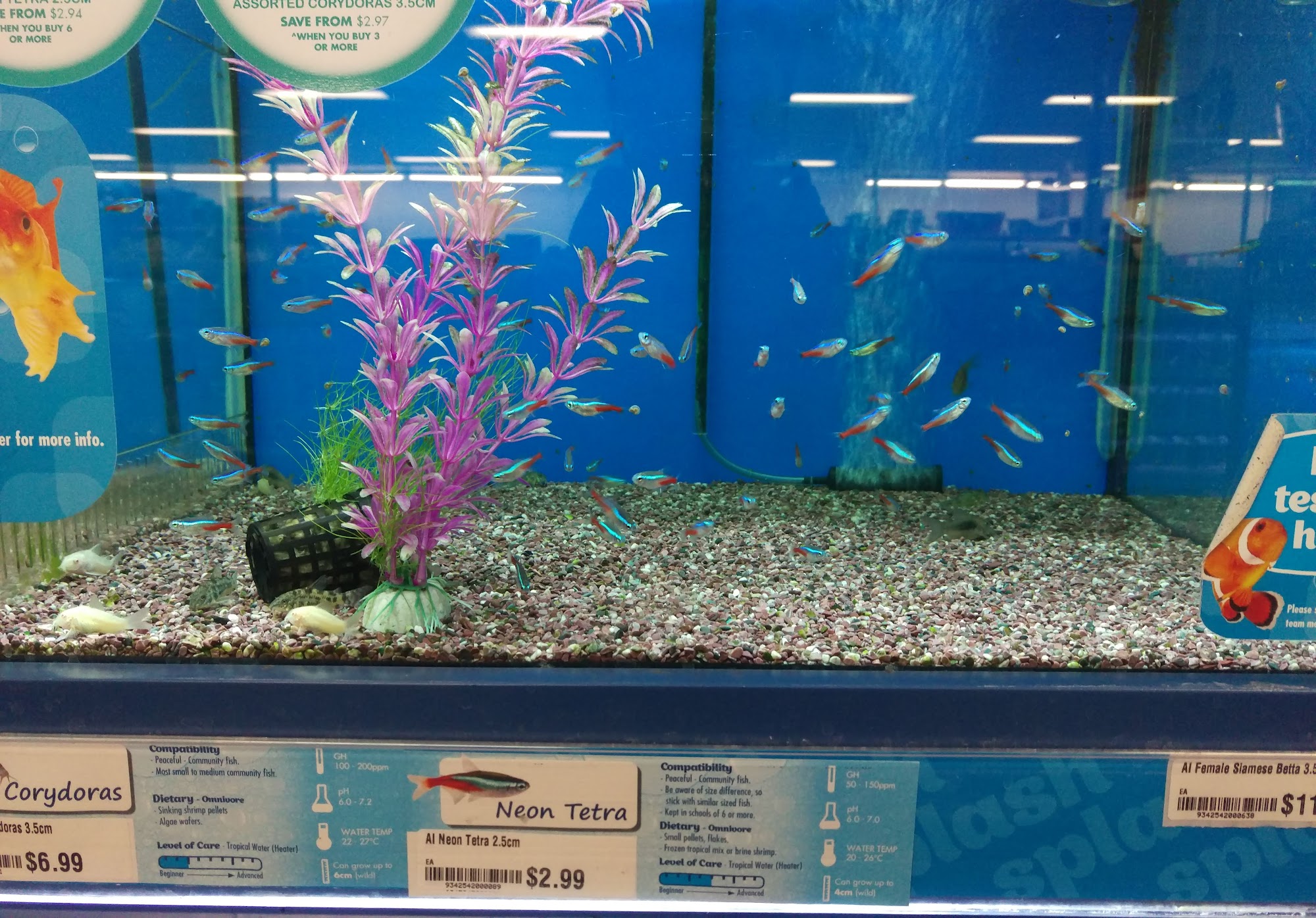 Petstock Belconnen