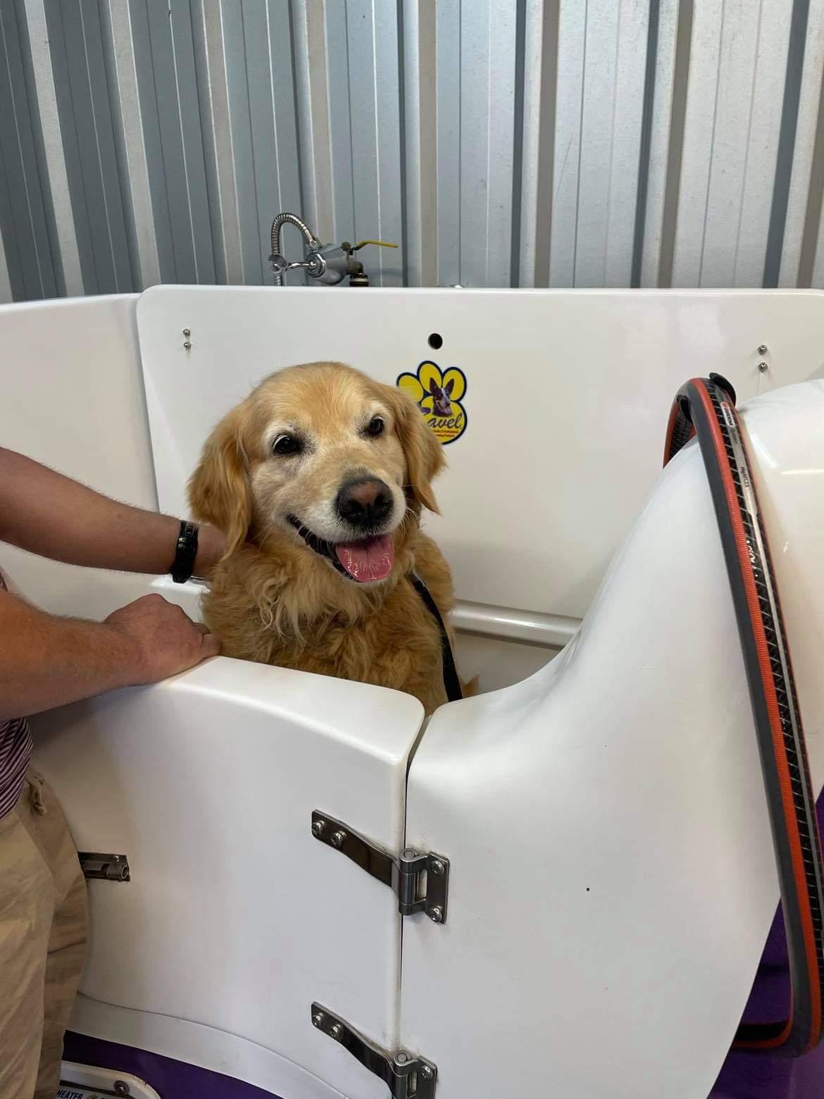 Bannockburn Dog Grooming and Pet Supplies