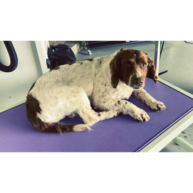 Bannockburn Dog Grooming and Pet Supplies