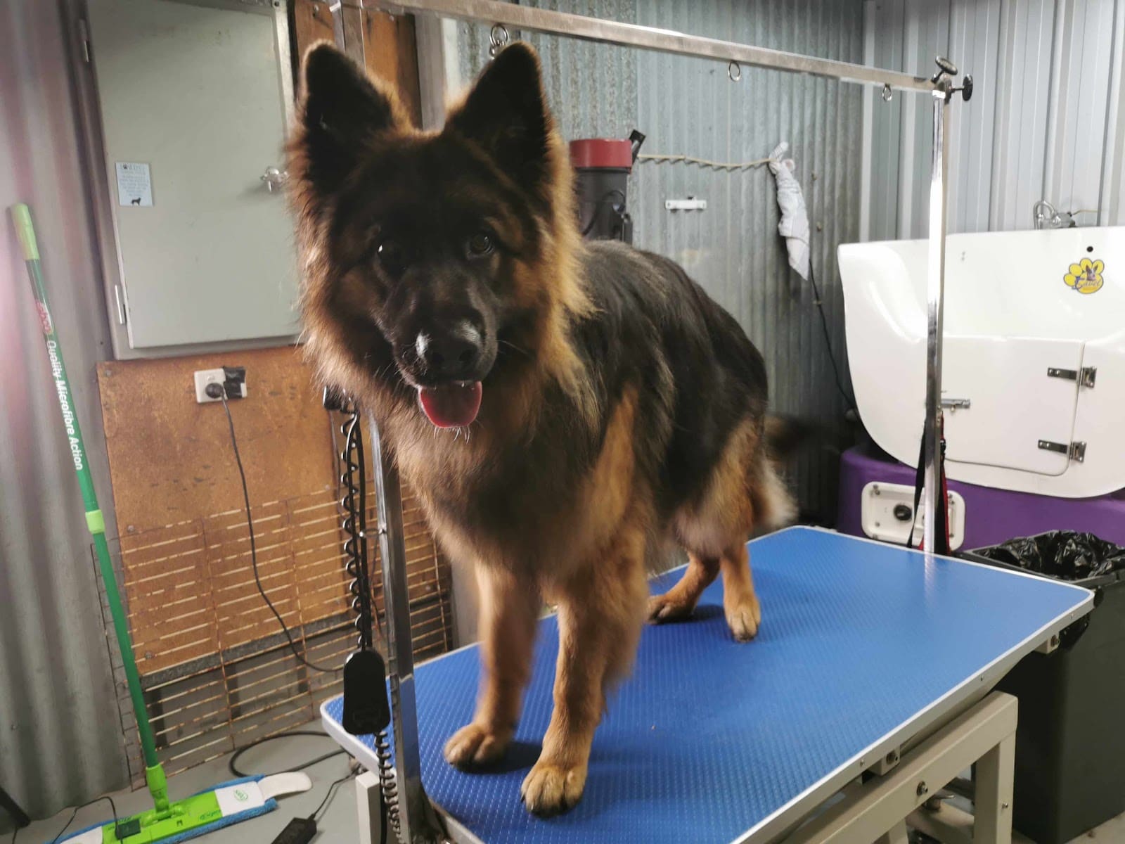 Bannockburn Dog Grooming and Pet Supplies
