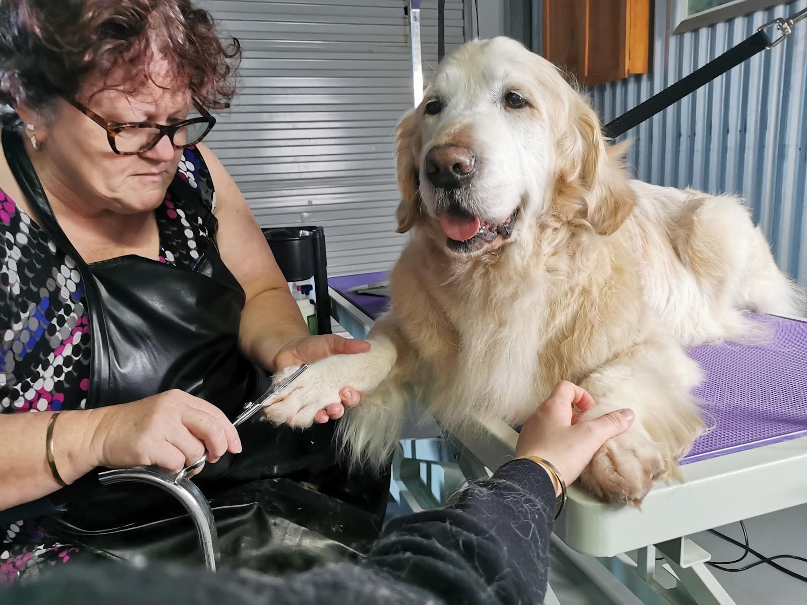 Bannockburn Dog Grooming and Pet Supplies