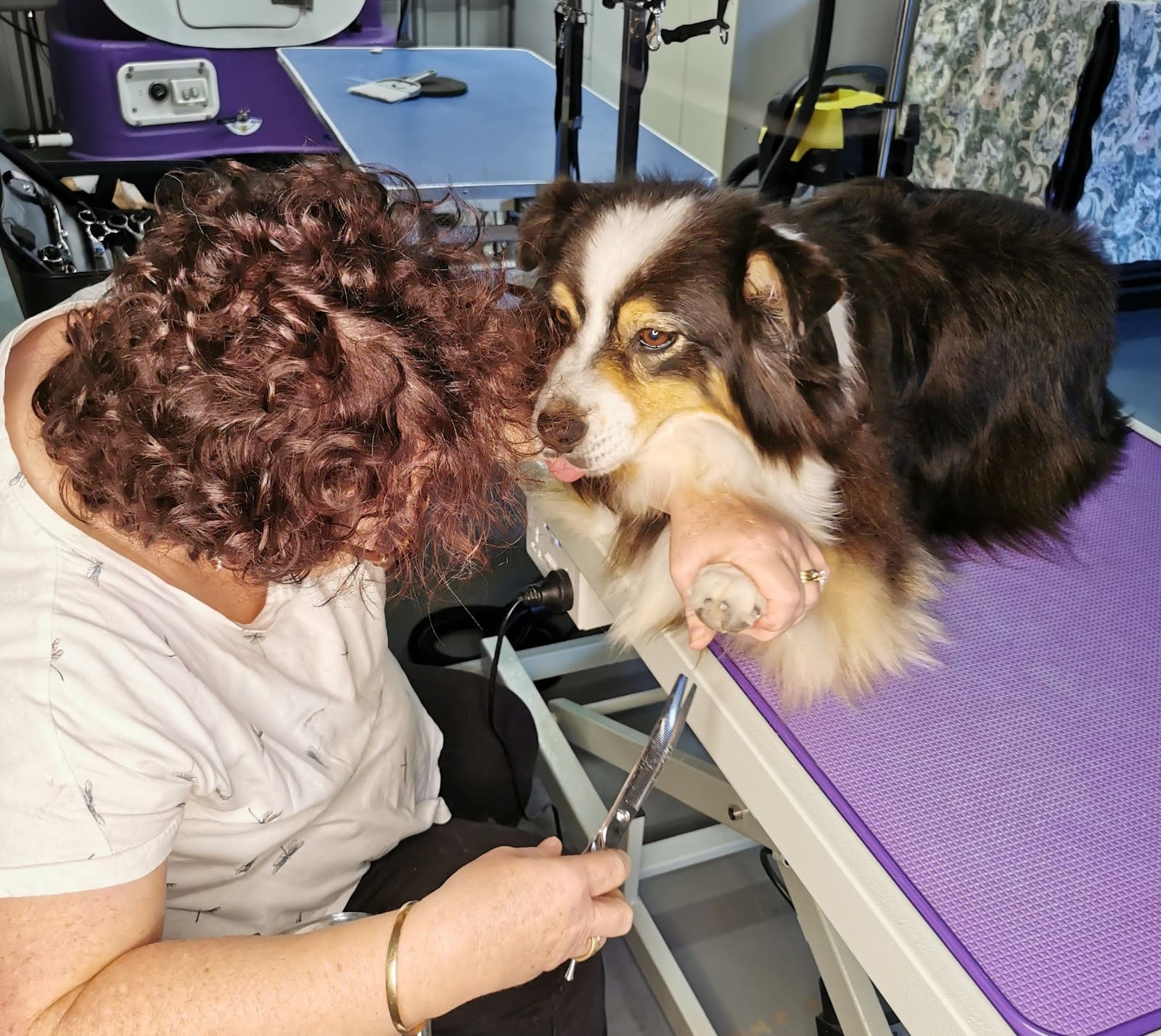 Bannockburn Dog Grooming and Pet Supplies