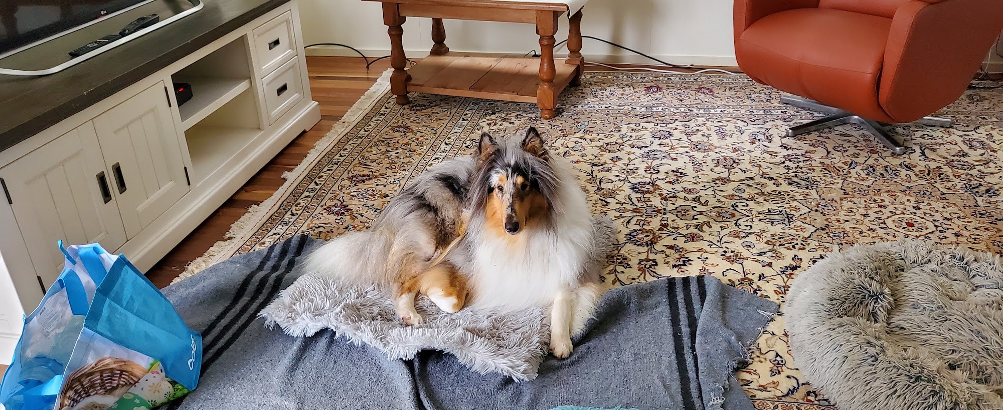 Woofer Wares — Pet Groomers