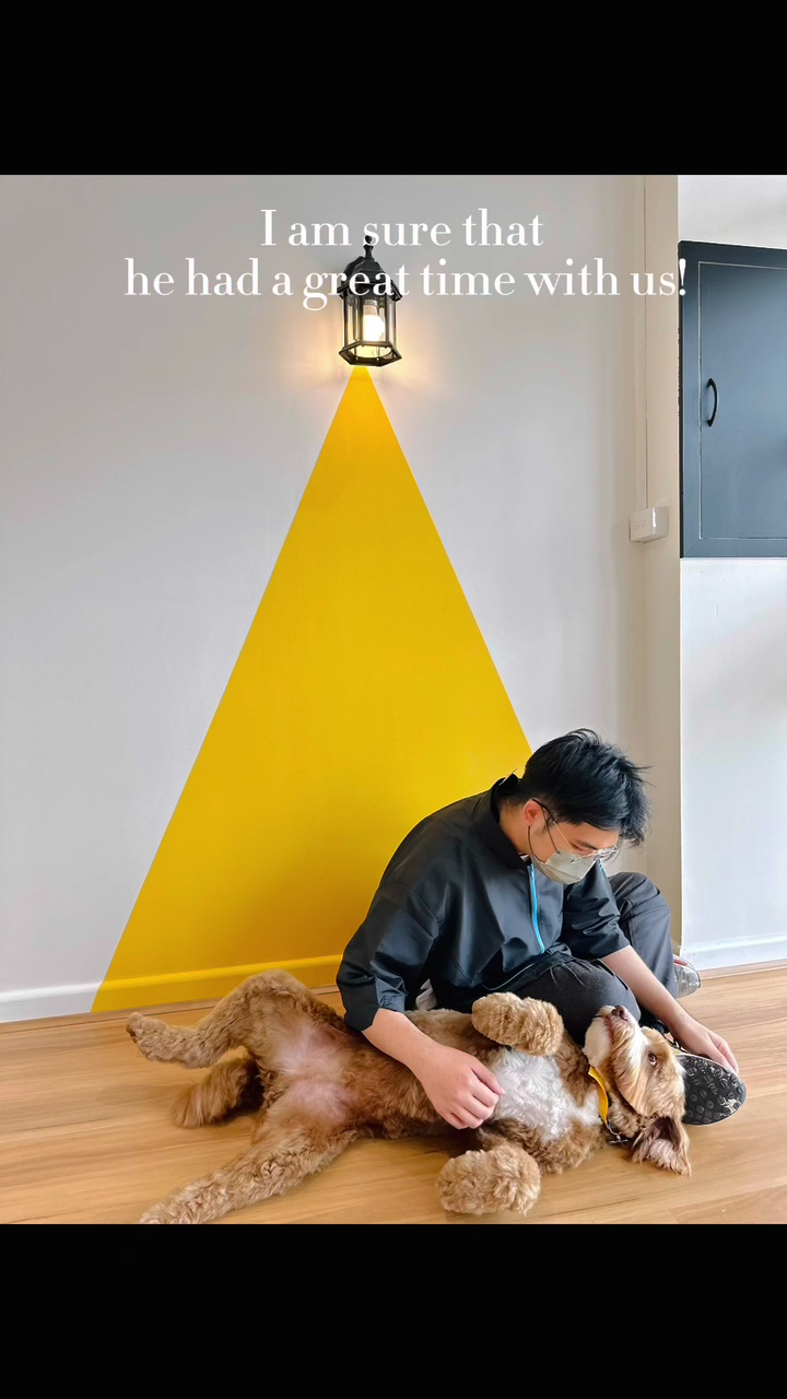 MR. PET MELBOURNE