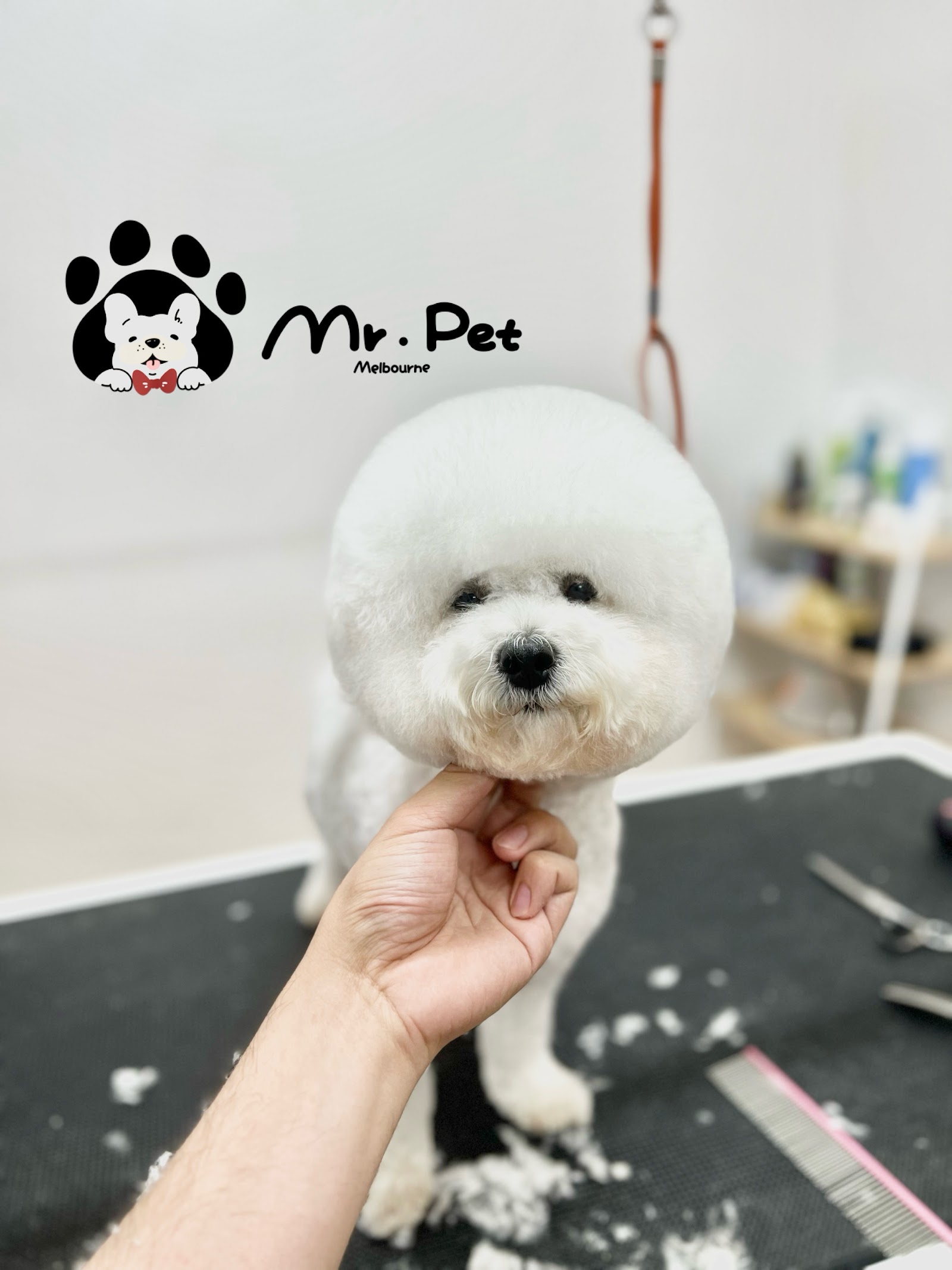MR. PET MELBOURNE
