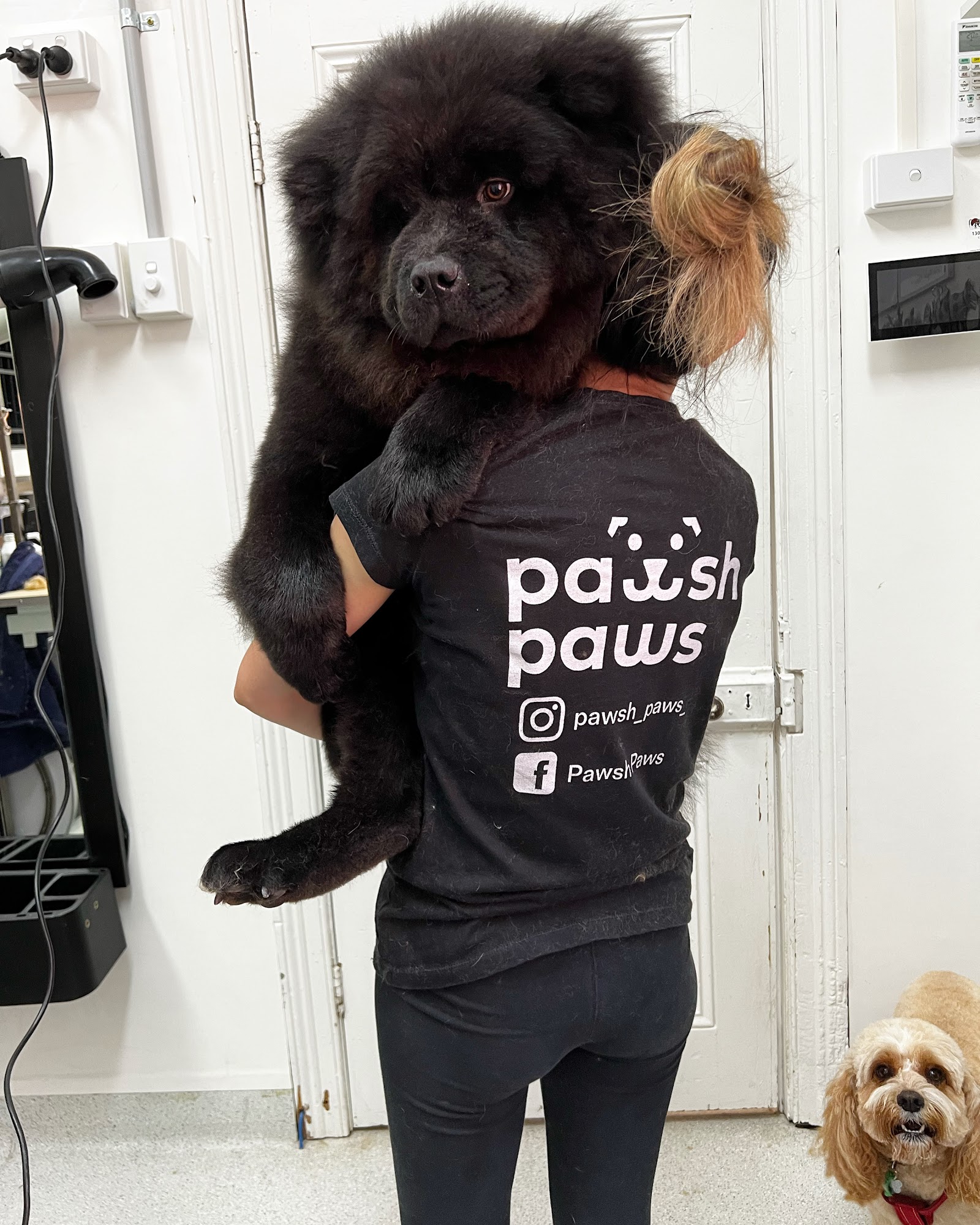 Pawsh paws