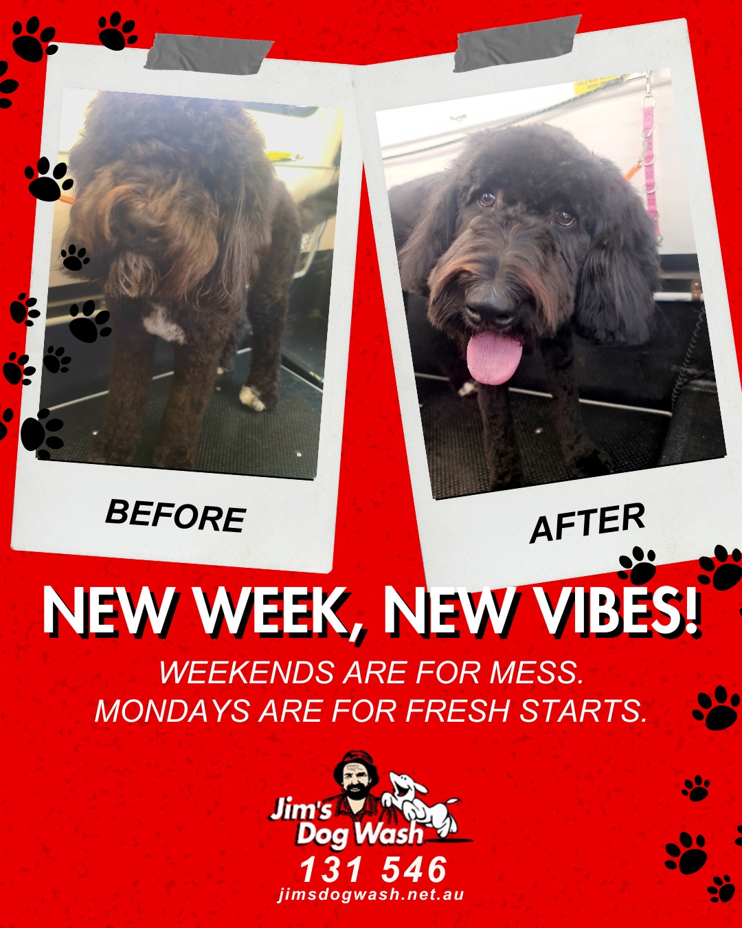 Jim's Dog Wash California Gully — Pet Groomers