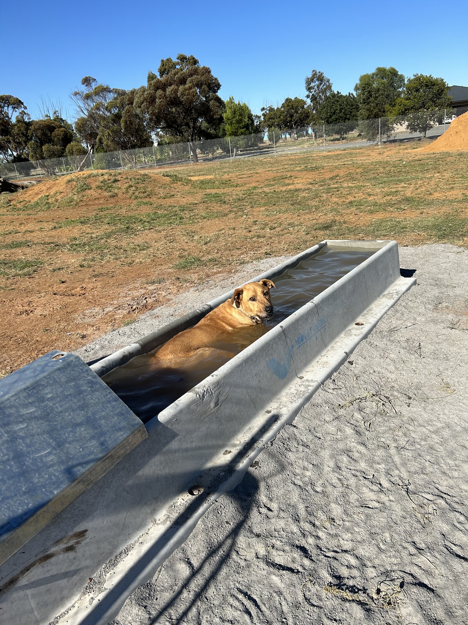 PAMPERED PETS WYCHEPROOF