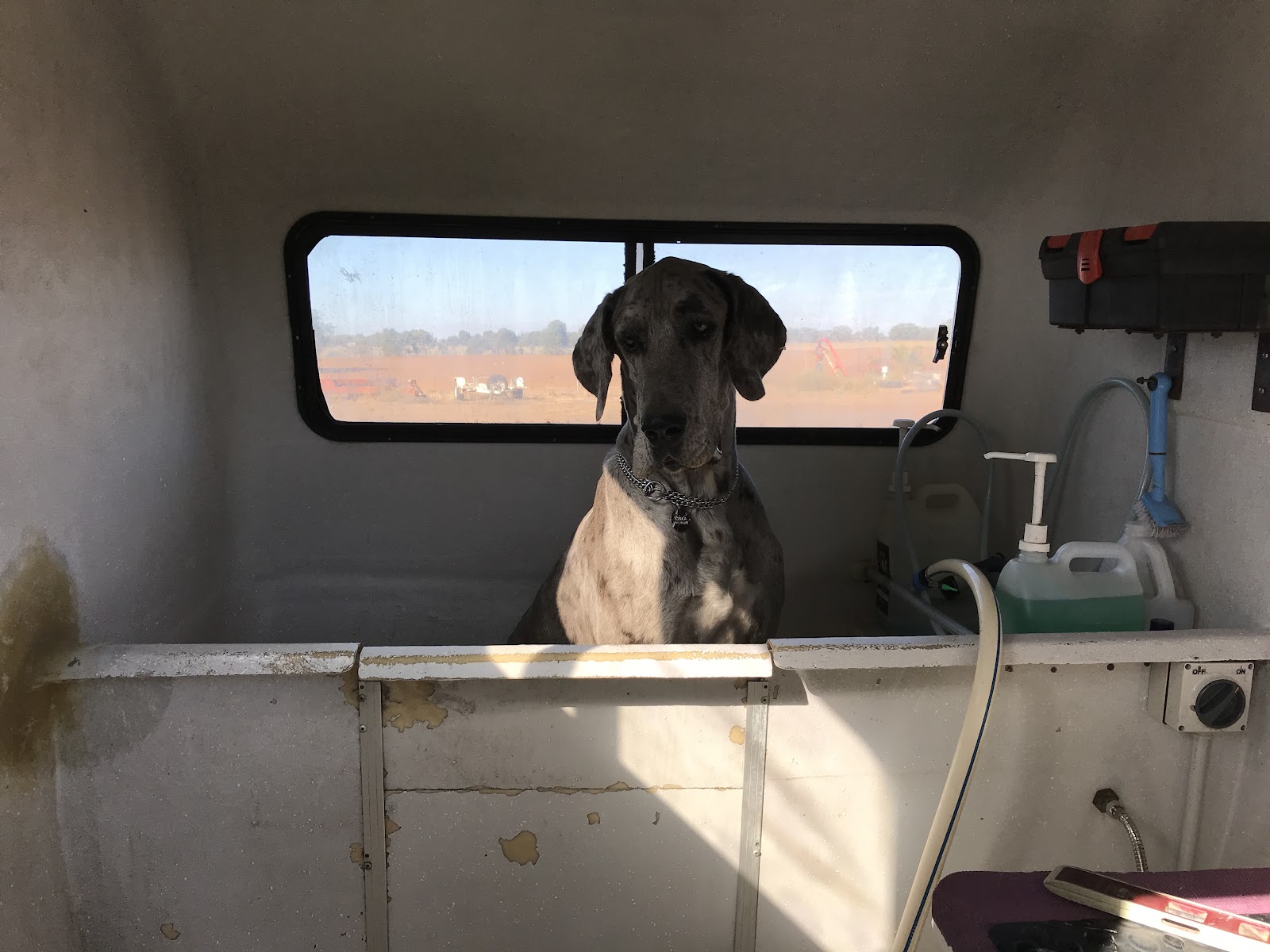 PAMPERED PETS WYCHEPROOF