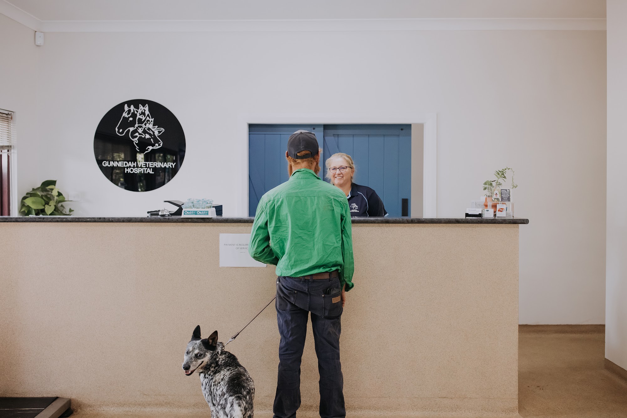 Gunnedah Veterinary Hospital — Pet Groomers