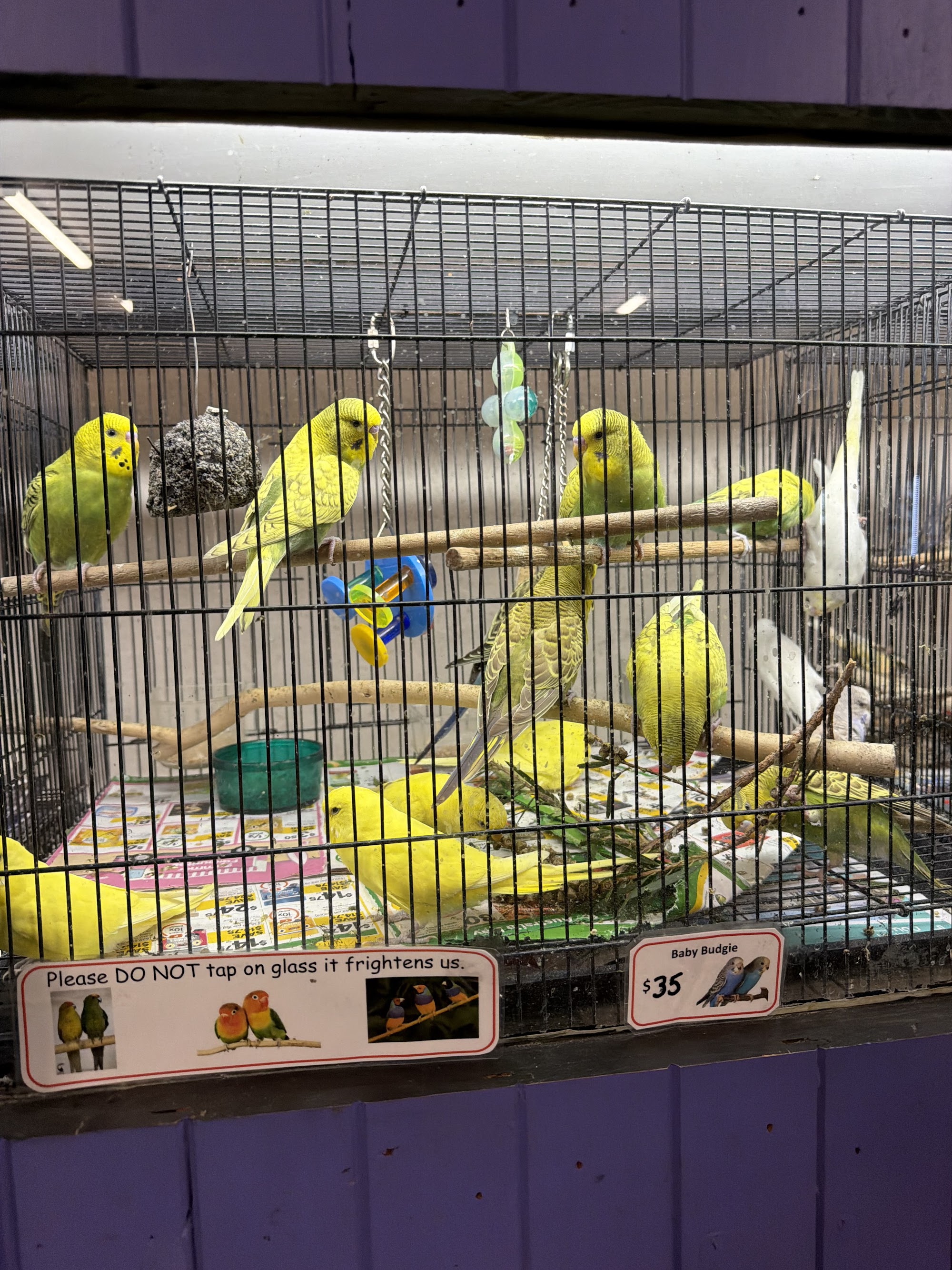 Tamworth Pet Centre