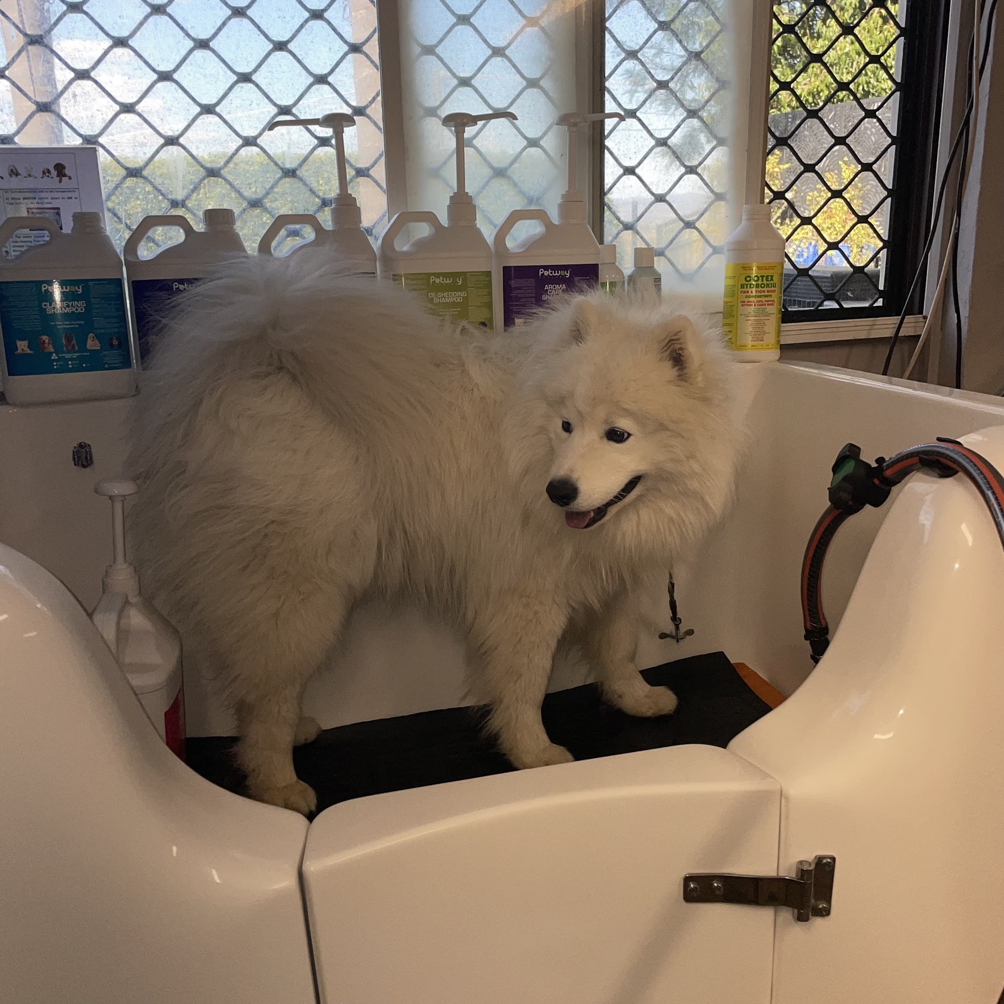 Every Man & His Dog Groomers