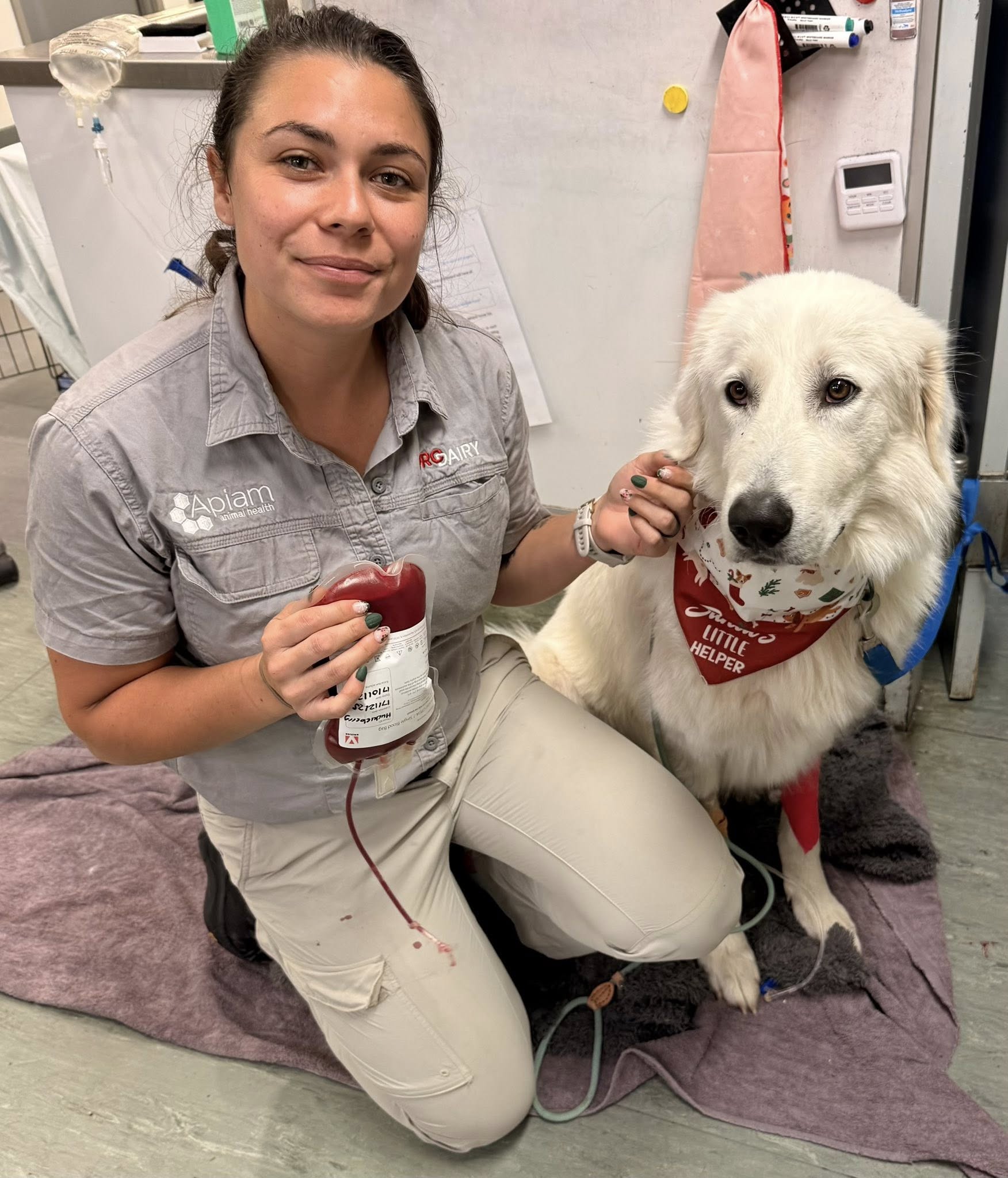 Singleton Veterinary Hospital — Pet Groomers