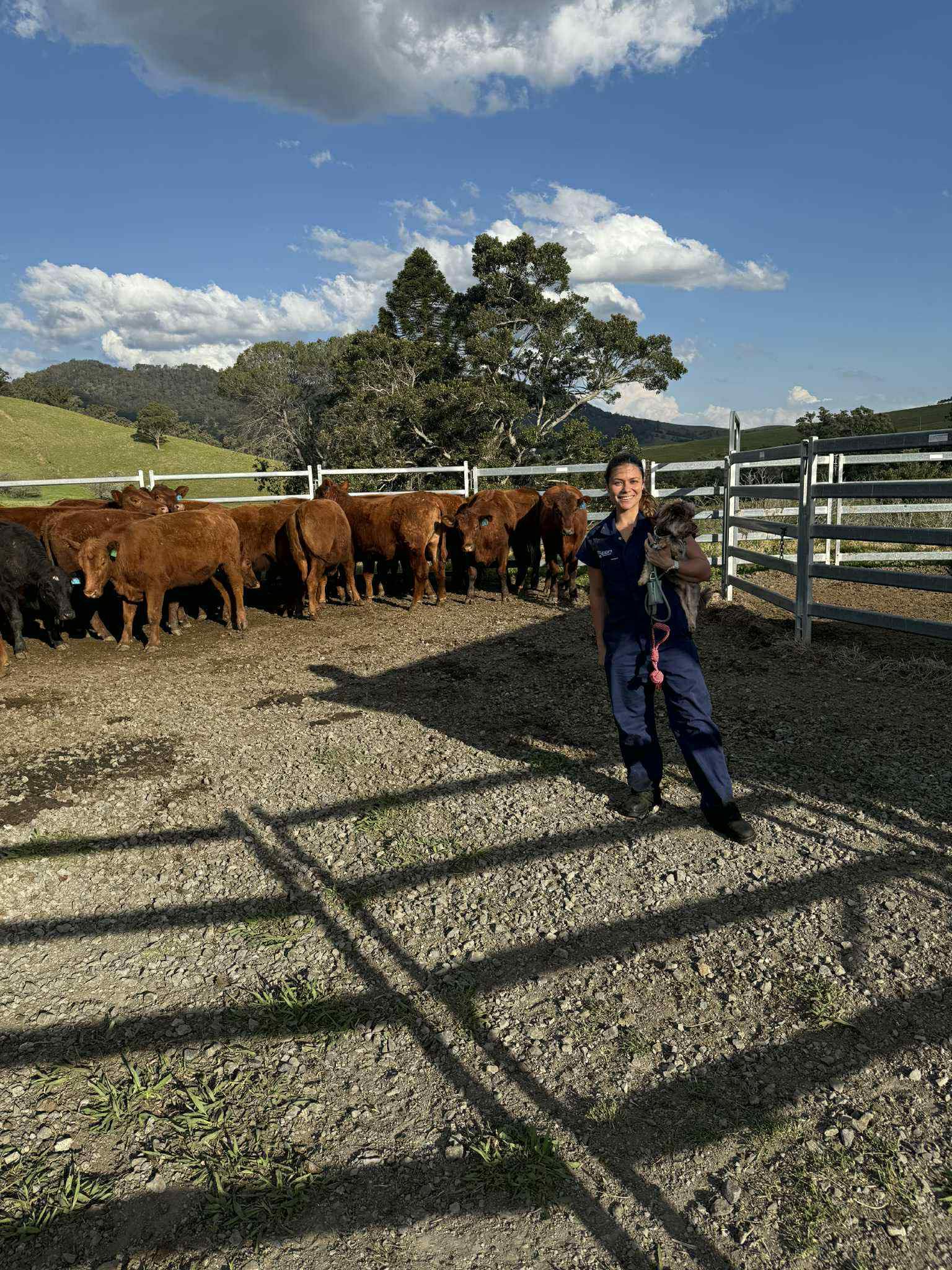 Singleton Veterinary Hospital