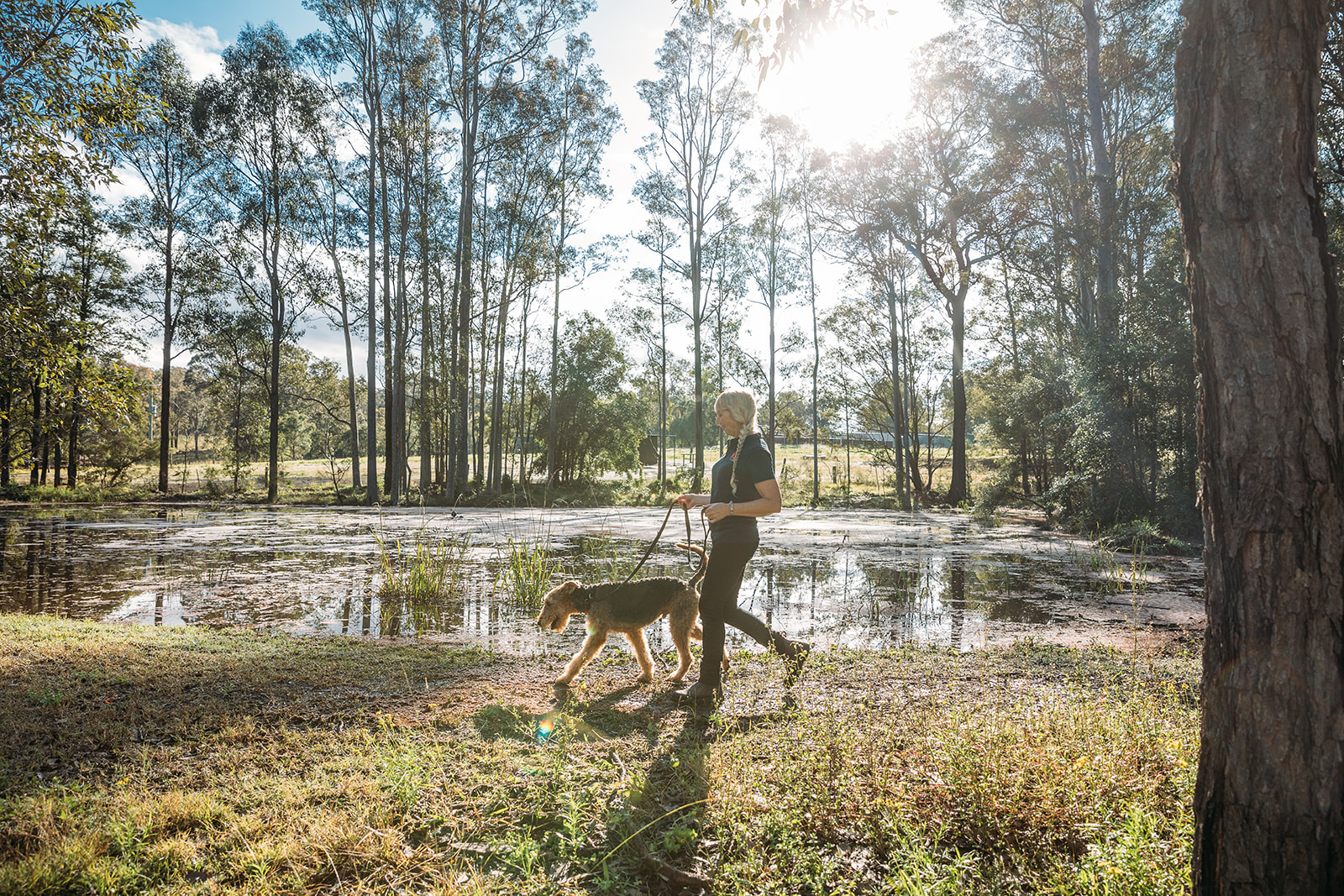 Kip Hunter Valley Cat & Dog Boarding — Pet Groomers