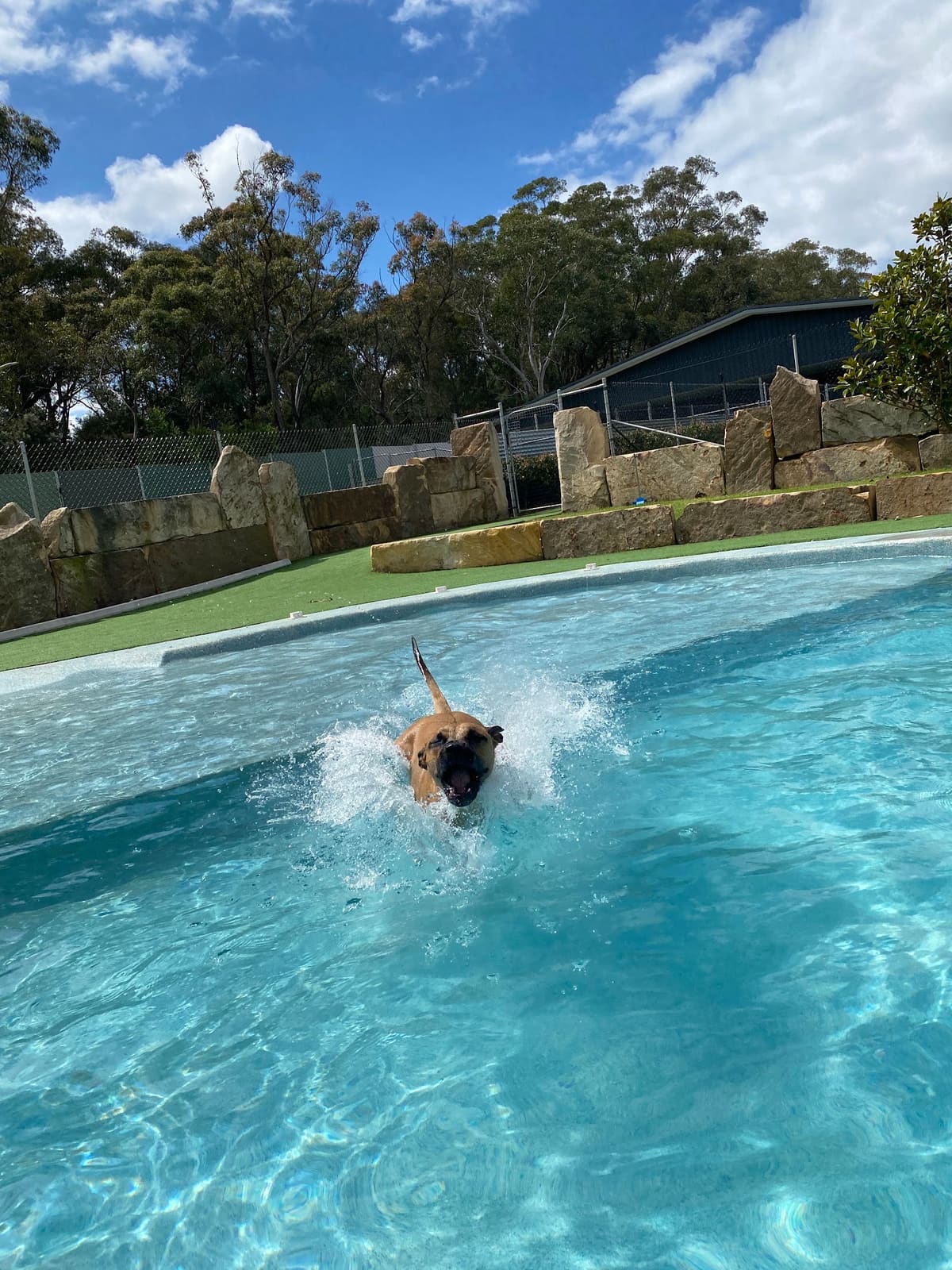 Calabash Kennels & Cattery