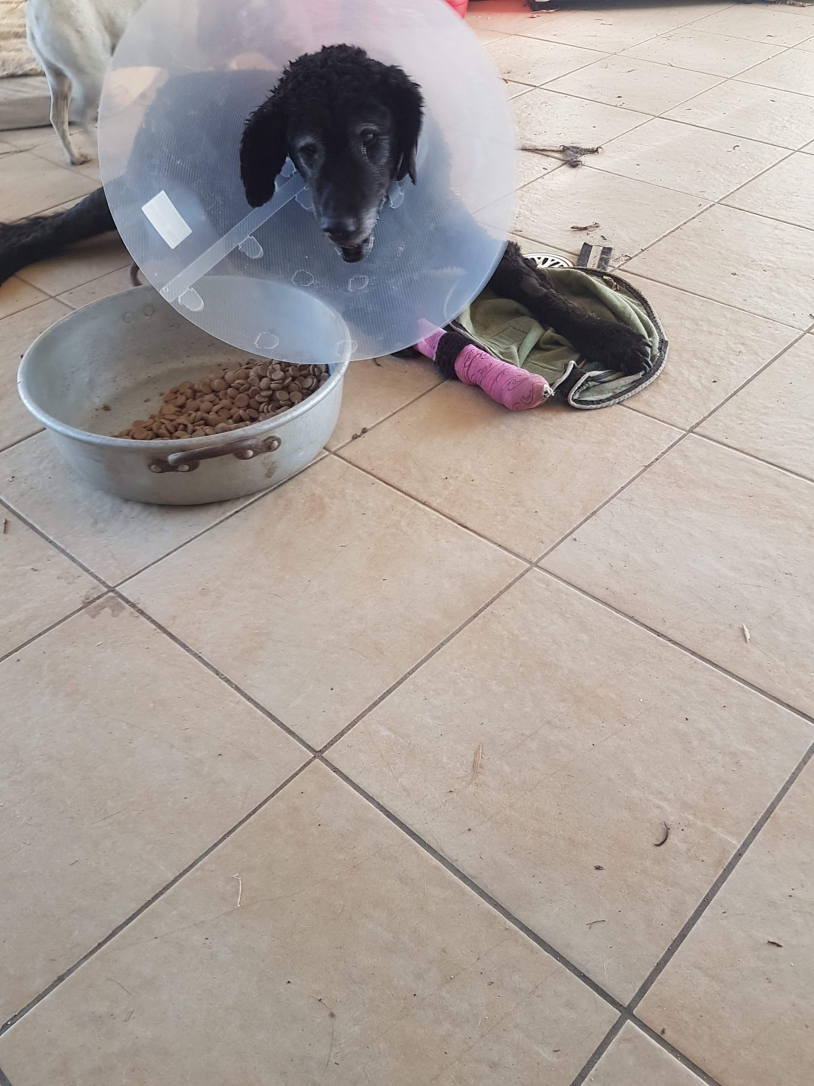 Crookwell Veterinary Hospital