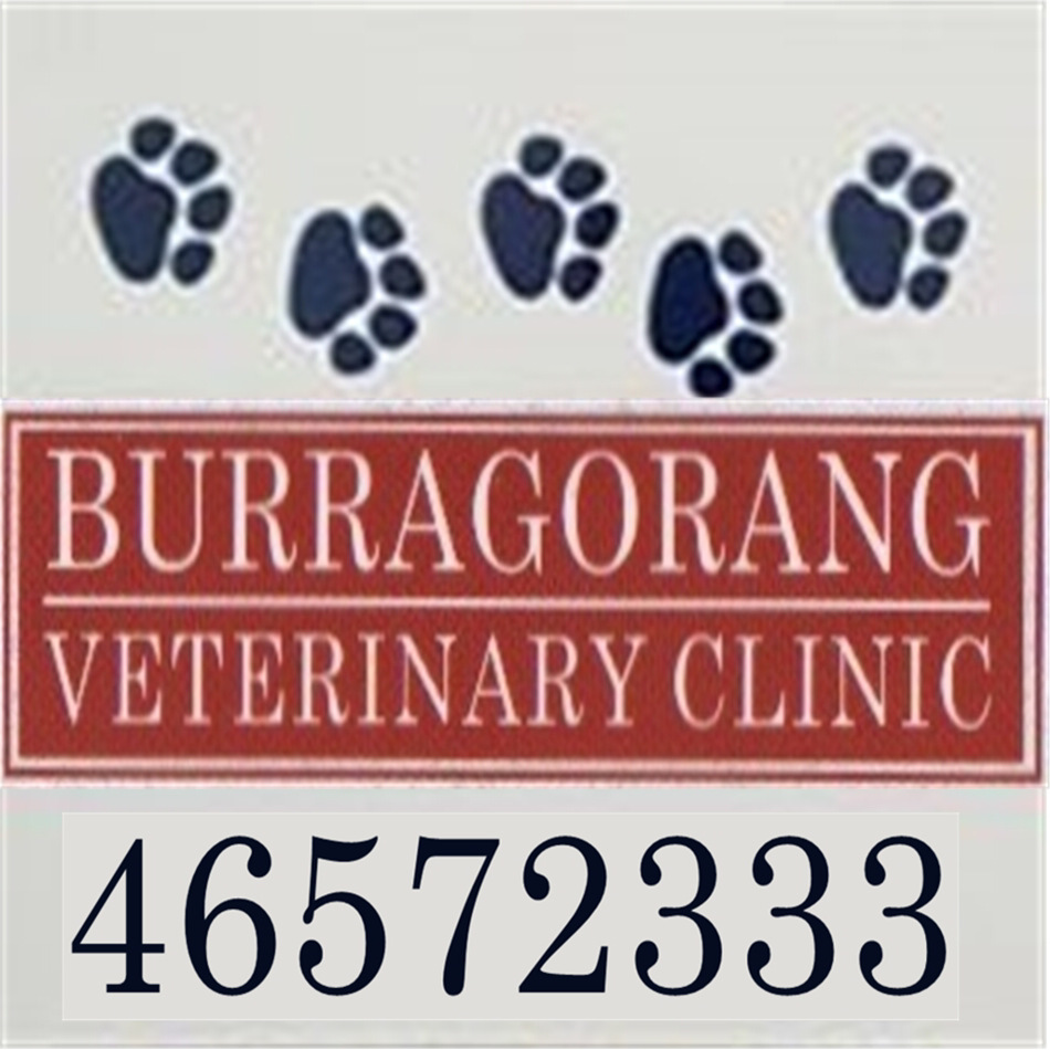 Burragorang Veterinary Clinic logo