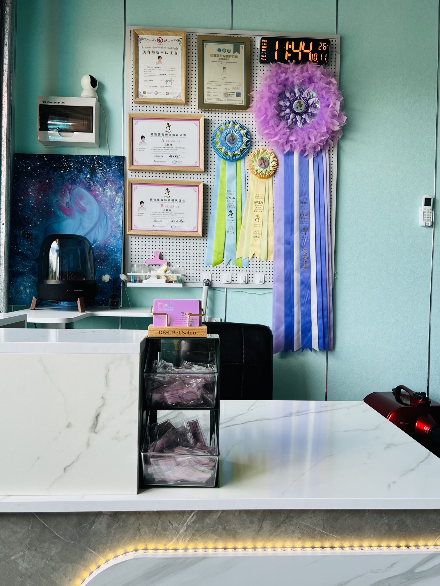 D&C Pet grooming Salon