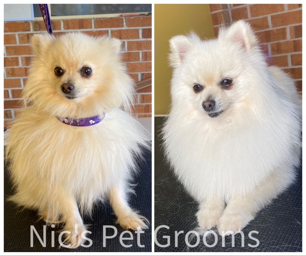 Nic's Pet Grooms