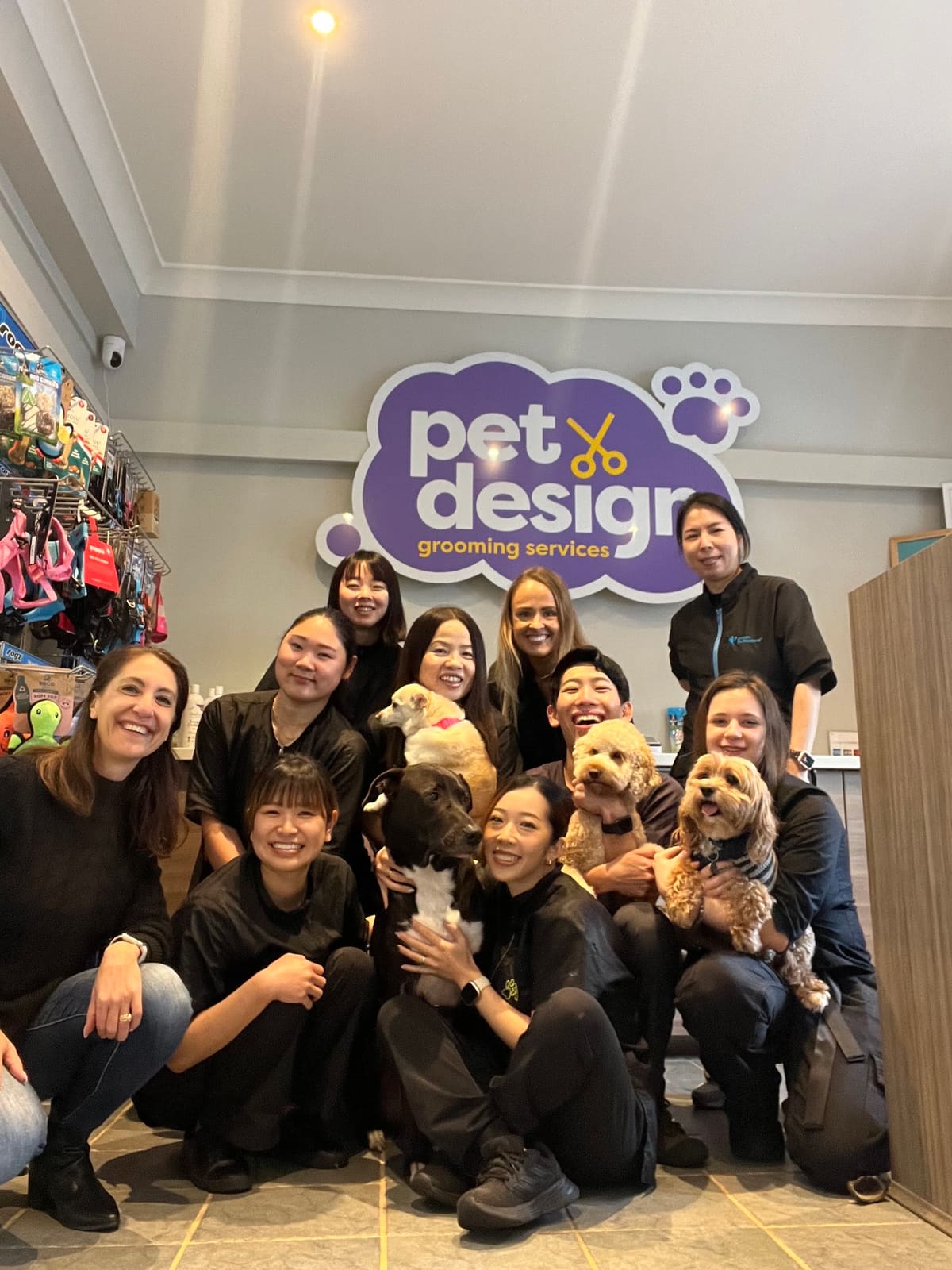 Pet Design Dog and Cat Grooming Epping
