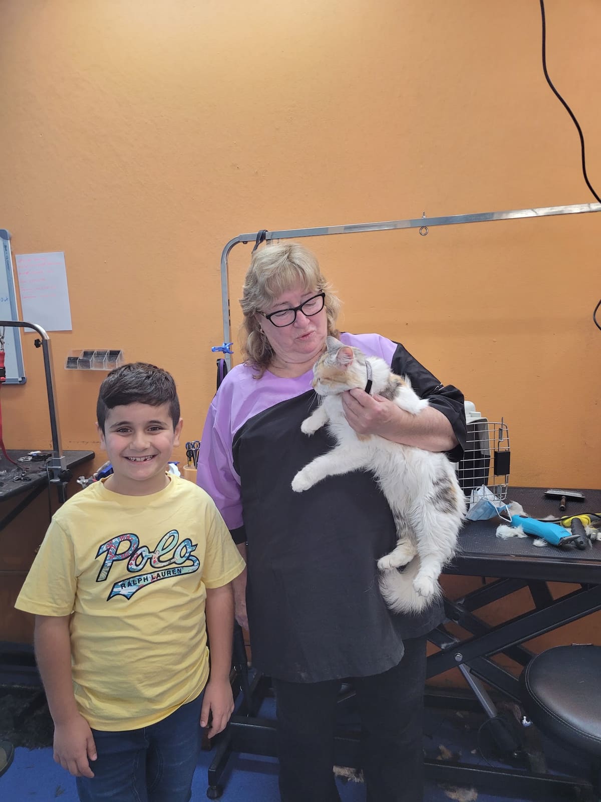 Pet Design Dog and Cat Grooming Epping