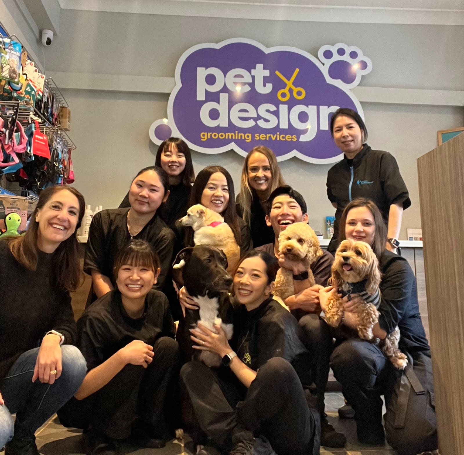 Pet Design Dog and Cat Grooming Epping — Pet Groomers