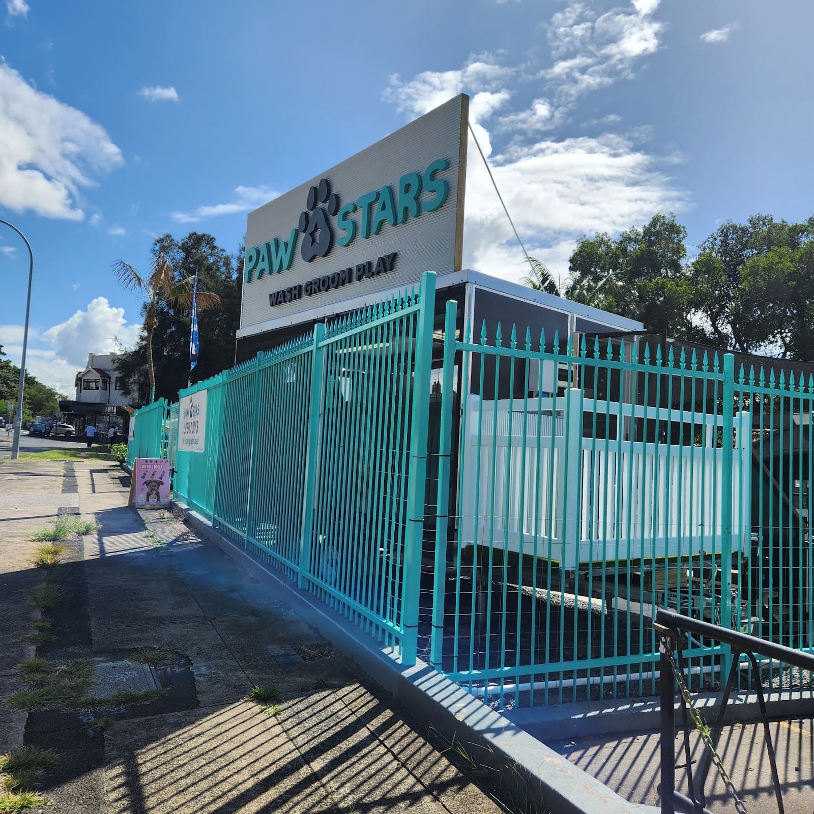 Paw Stars Bondi Beach