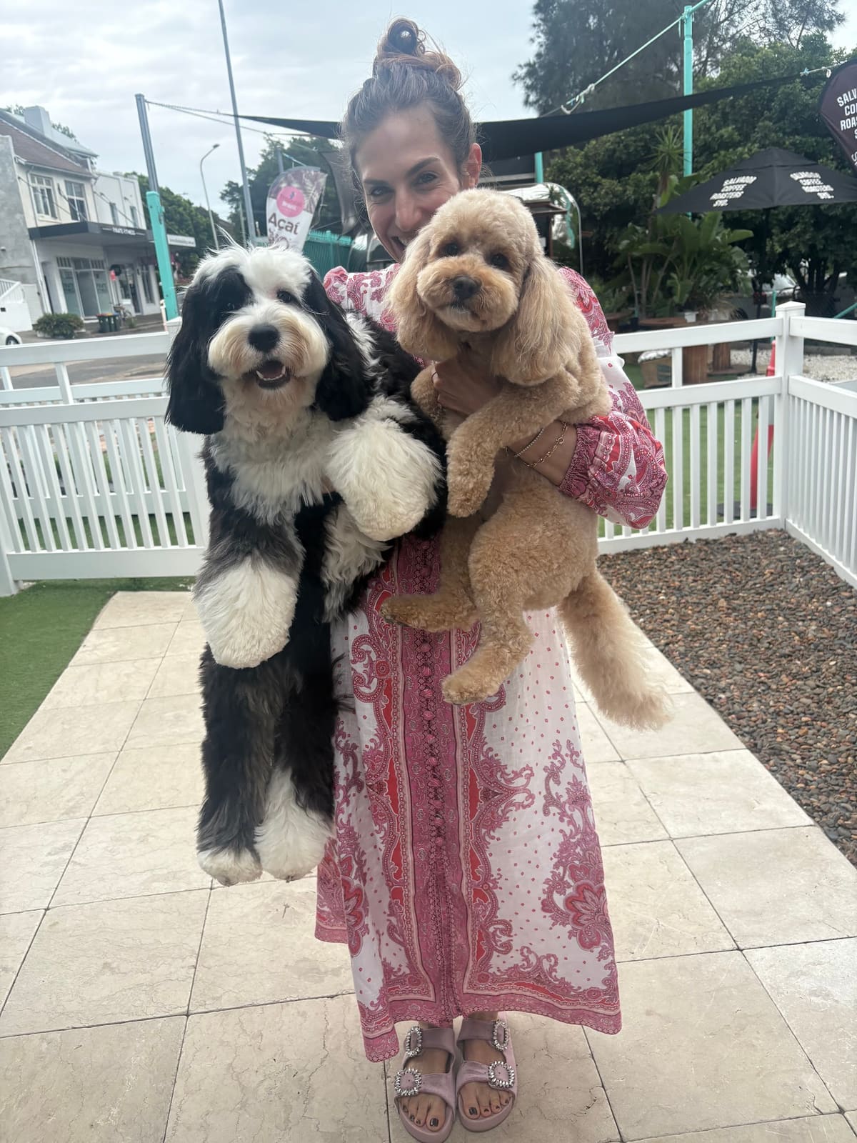 Paw Stars Bondi Beach