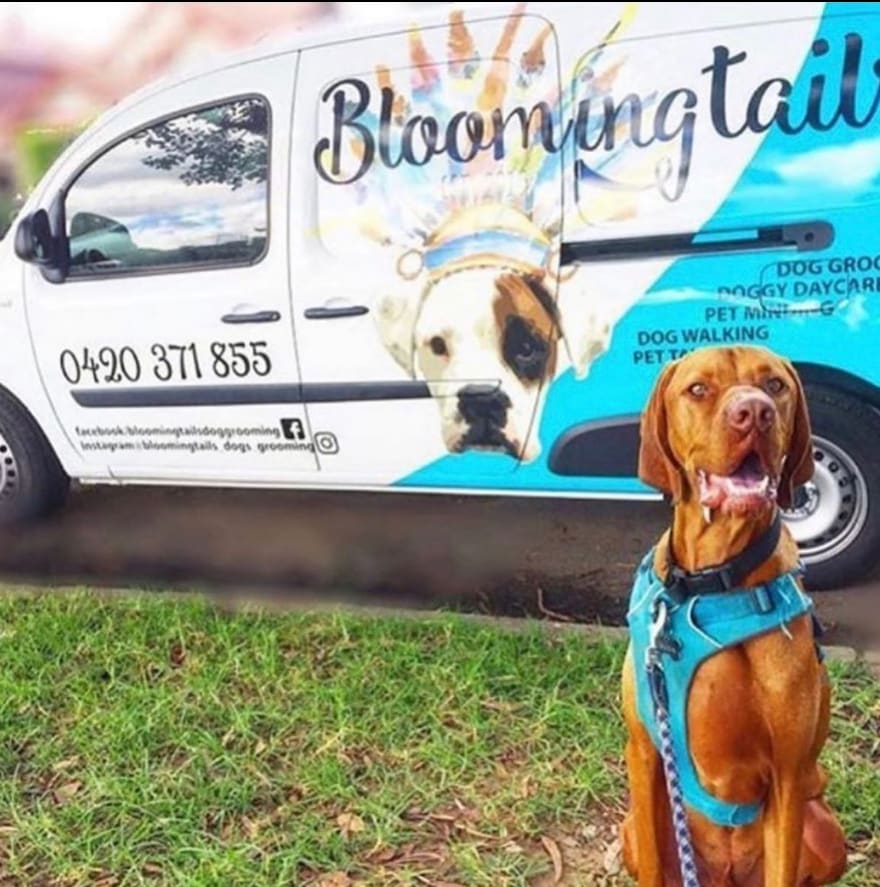 Bloomingtails — Pet Groomers