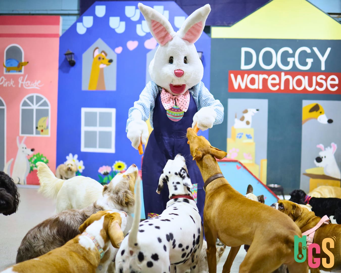 Dogs in Town