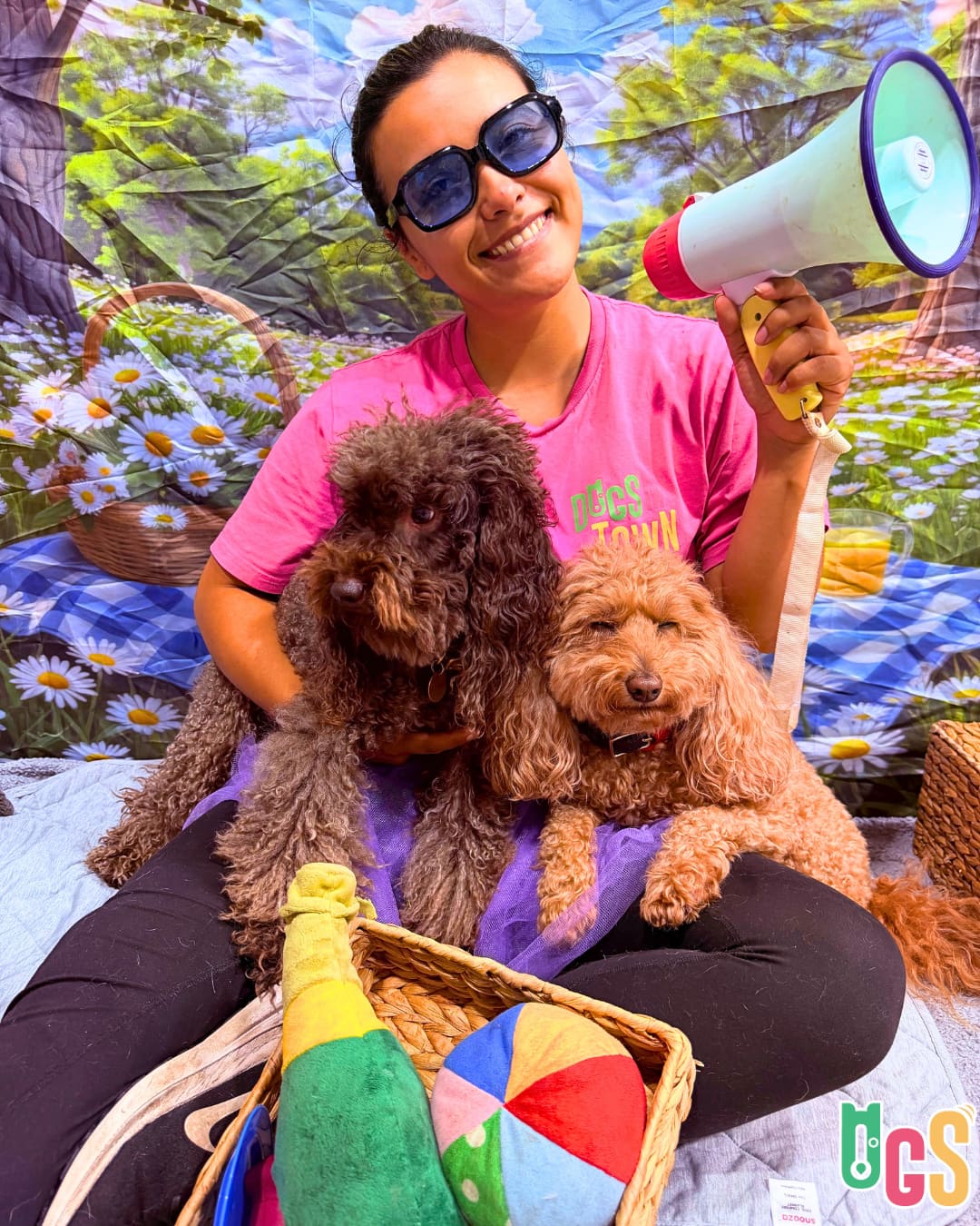 Dogs in Town — Pet Groomers
