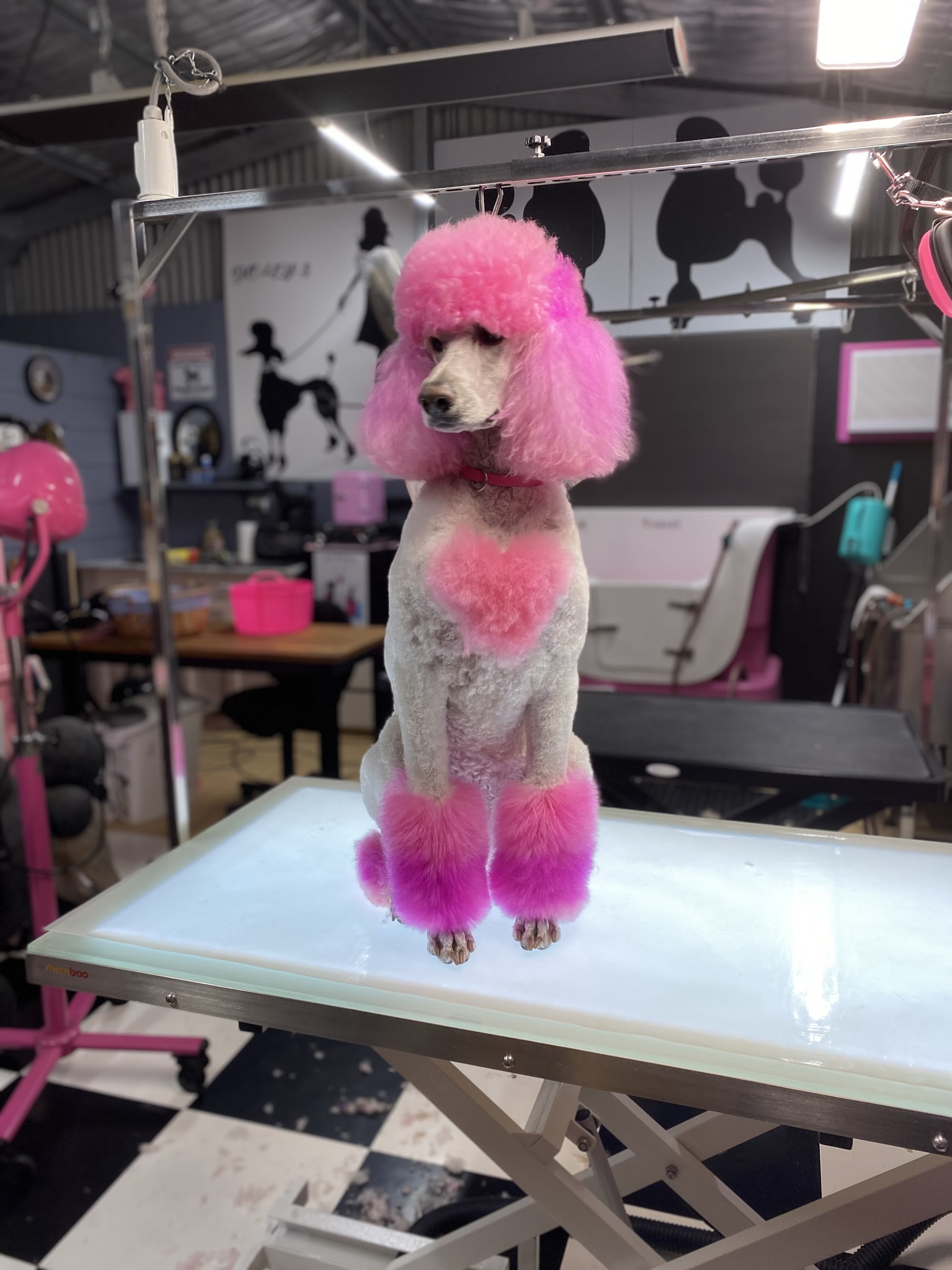 OZ Grooming World — Pet Groomers