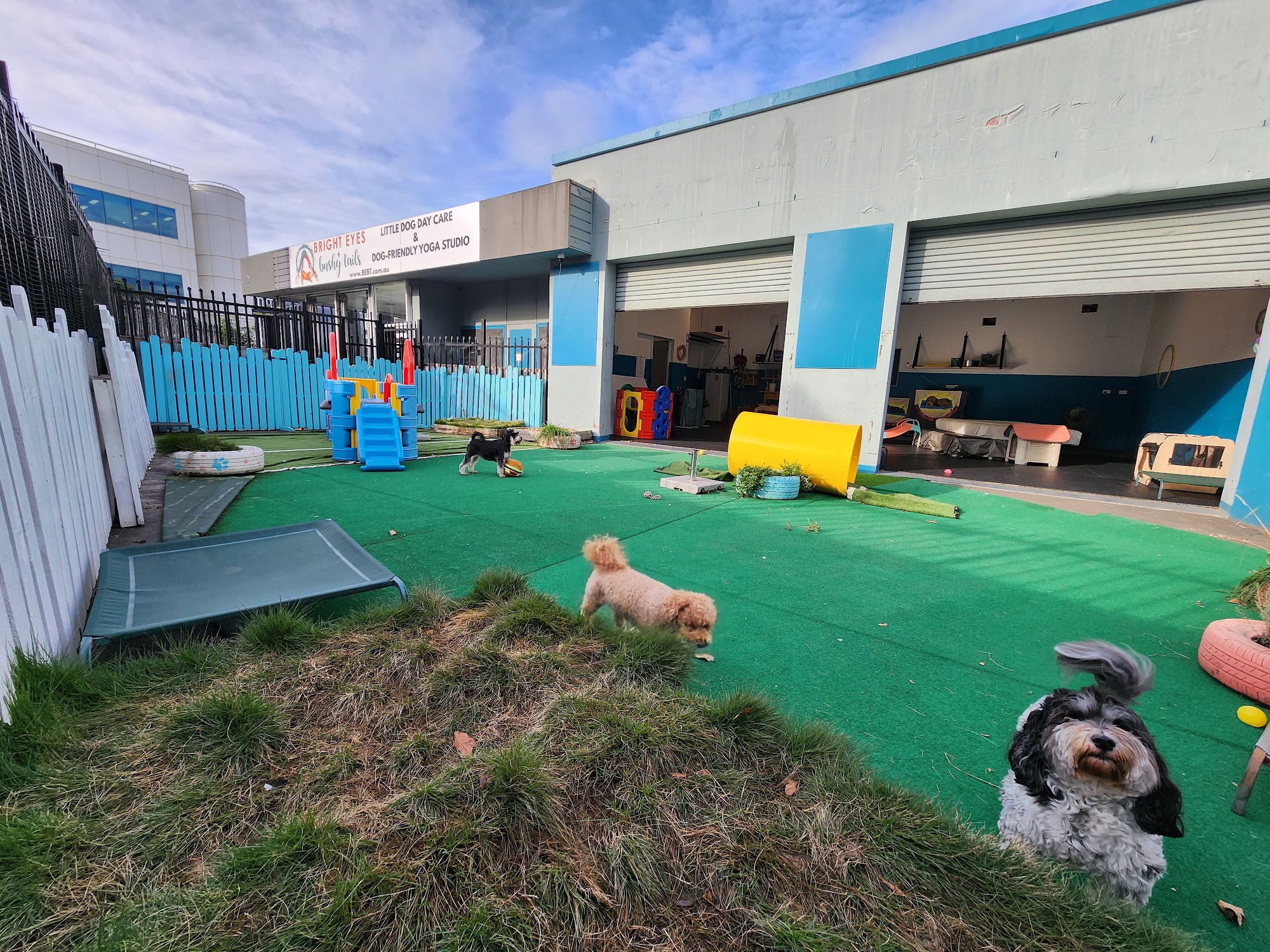Bright Eyes and Bushy Tails — Pet Groomers