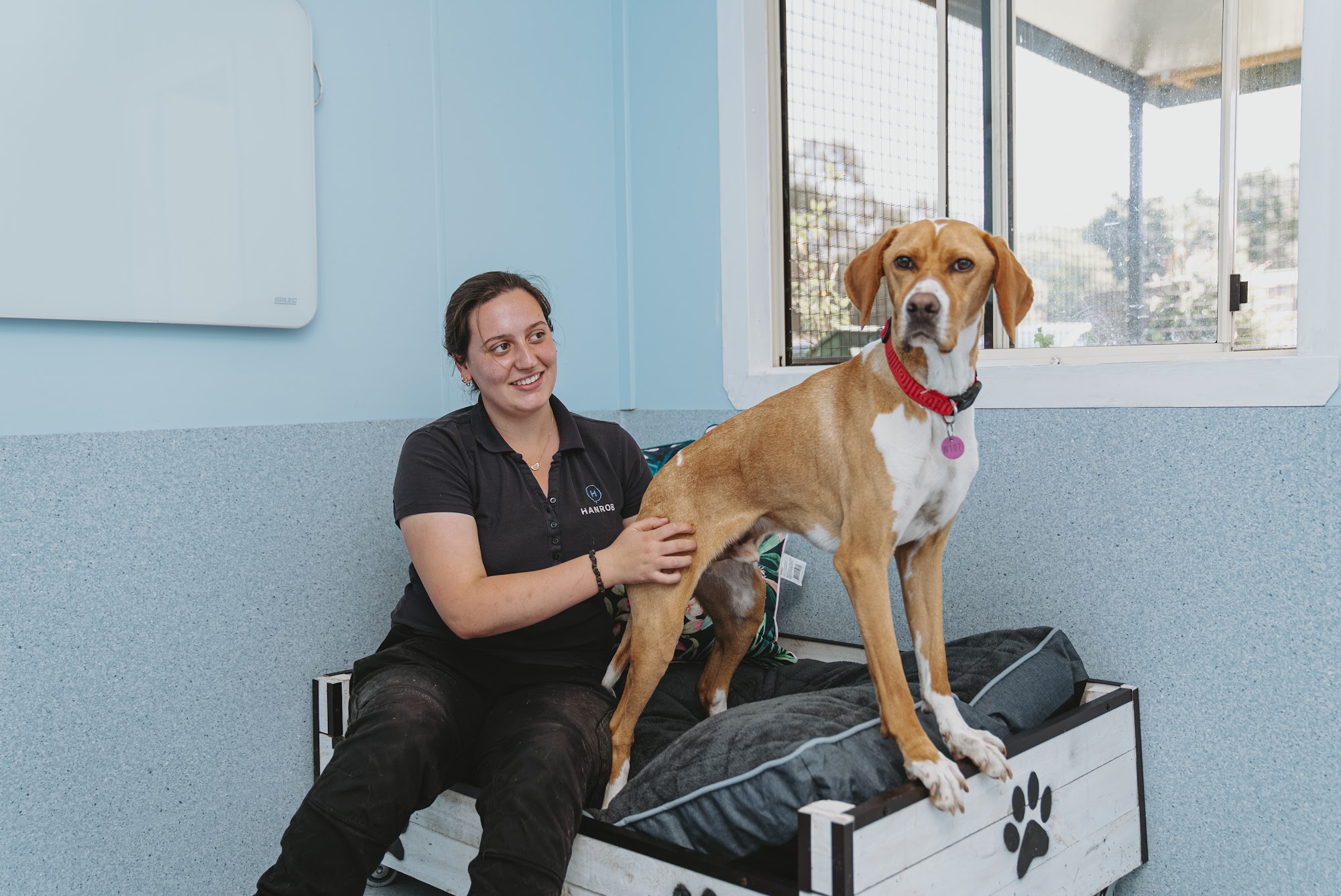 Hanrob Pet Hotels Heathcote — Pet Groomers