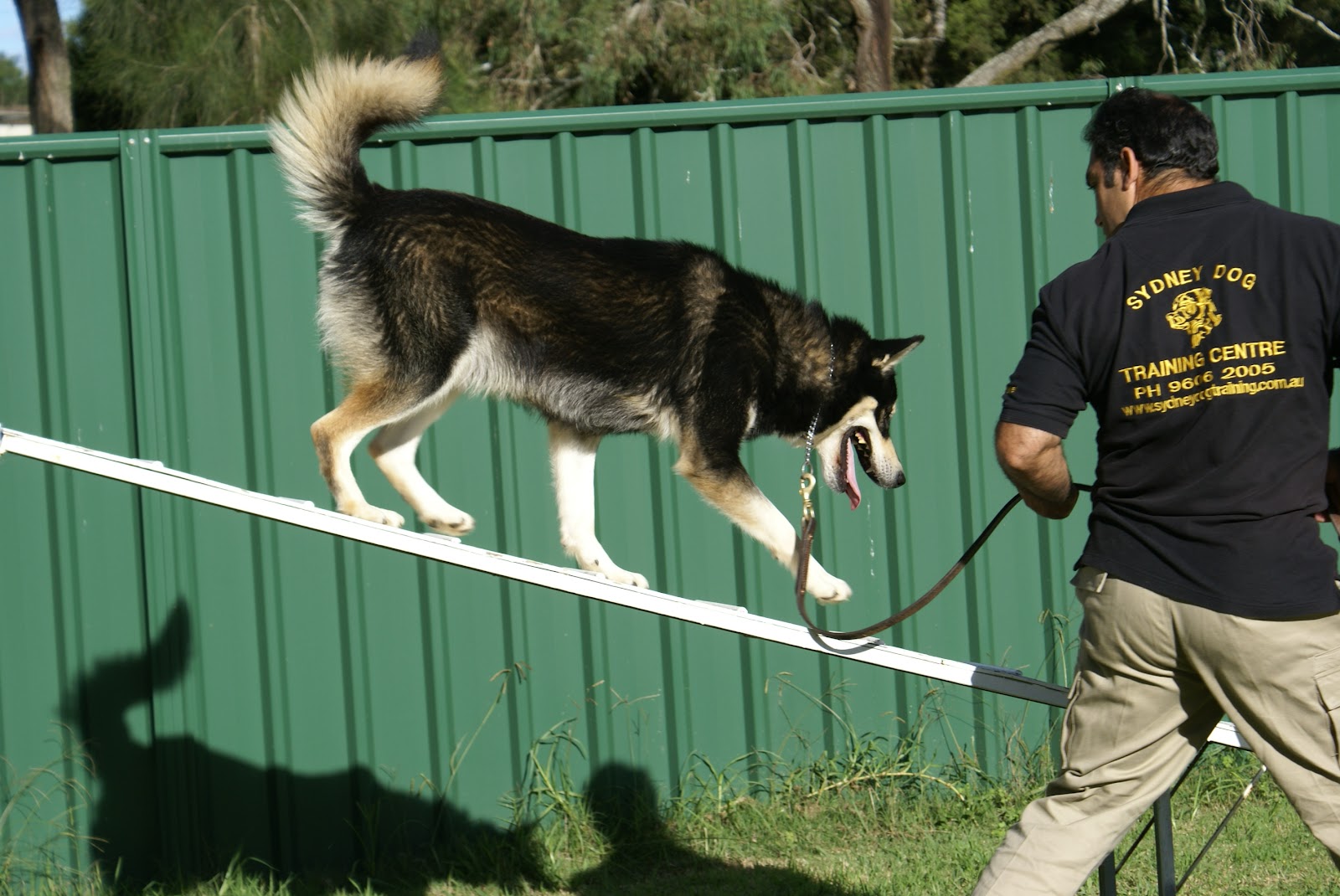 Sydney Dog Training Centre