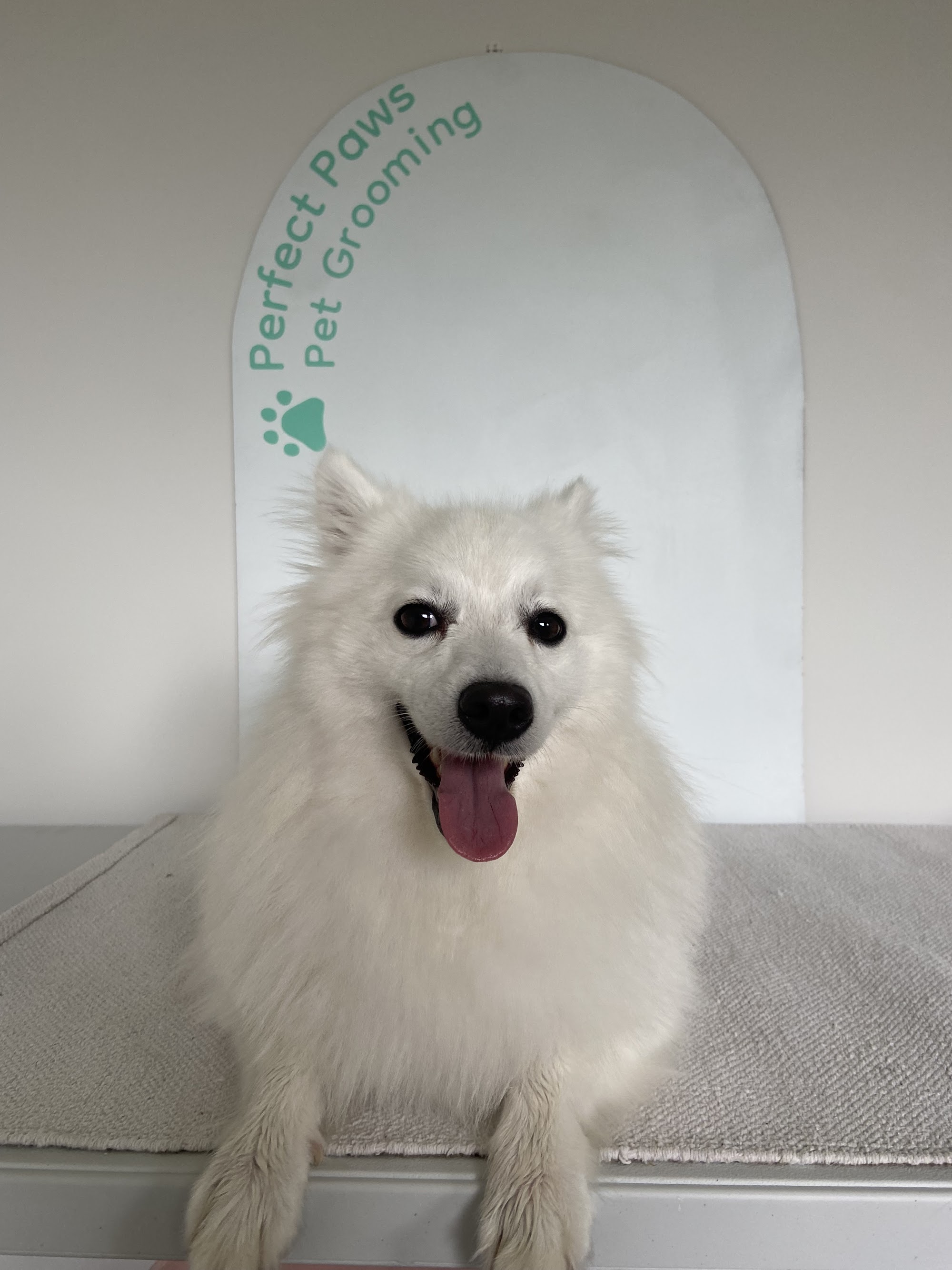 Perfect Paws Pet Grooming