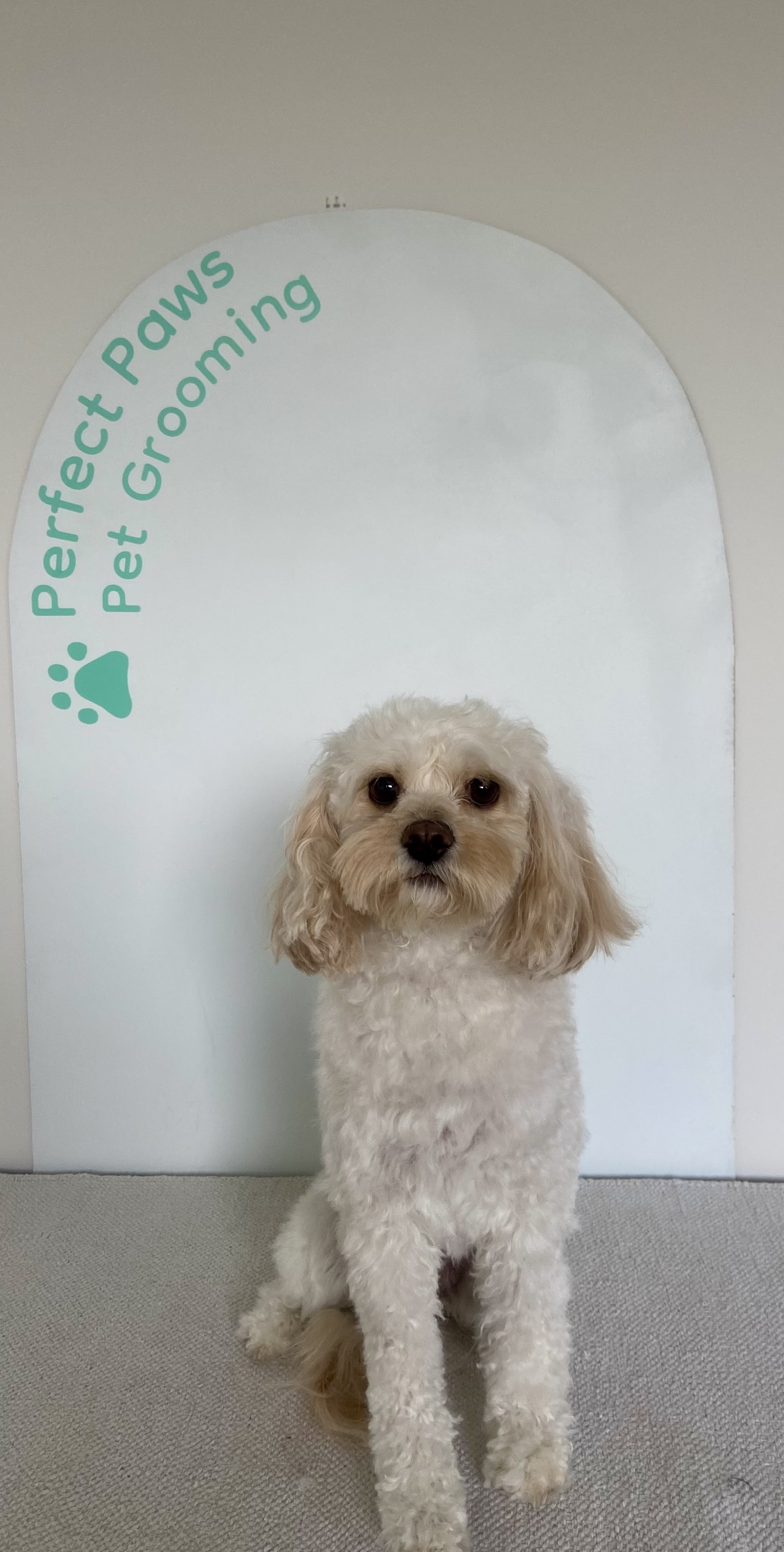 Perfect Paws Pet Grooming