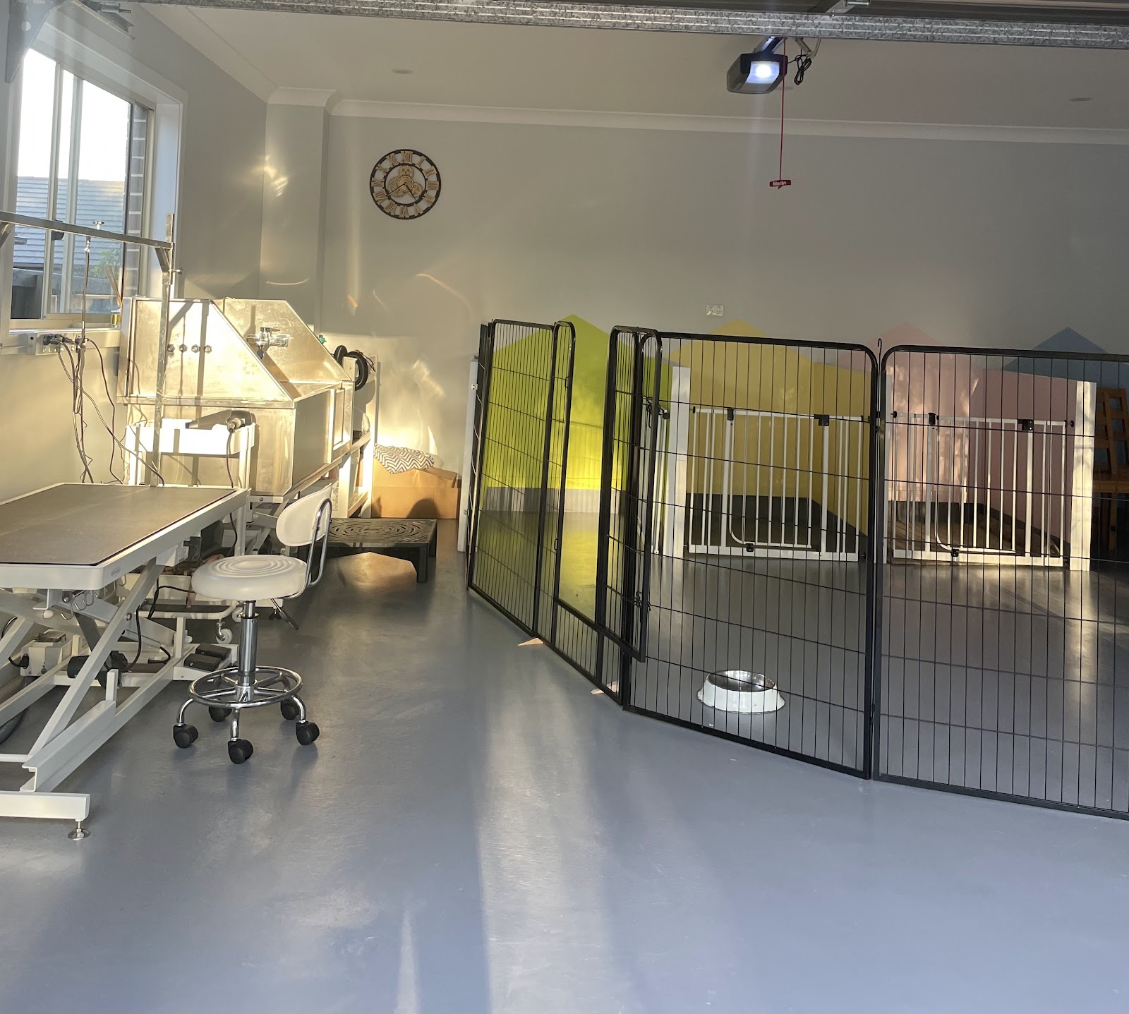 Acare Pet grooming Salon & Daycare
