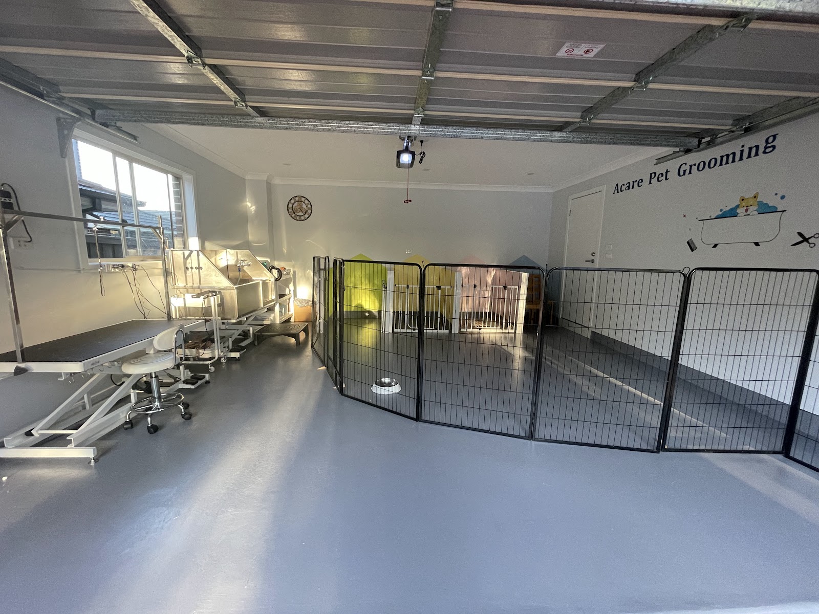 Acare Pet grooming Salon & Daycare