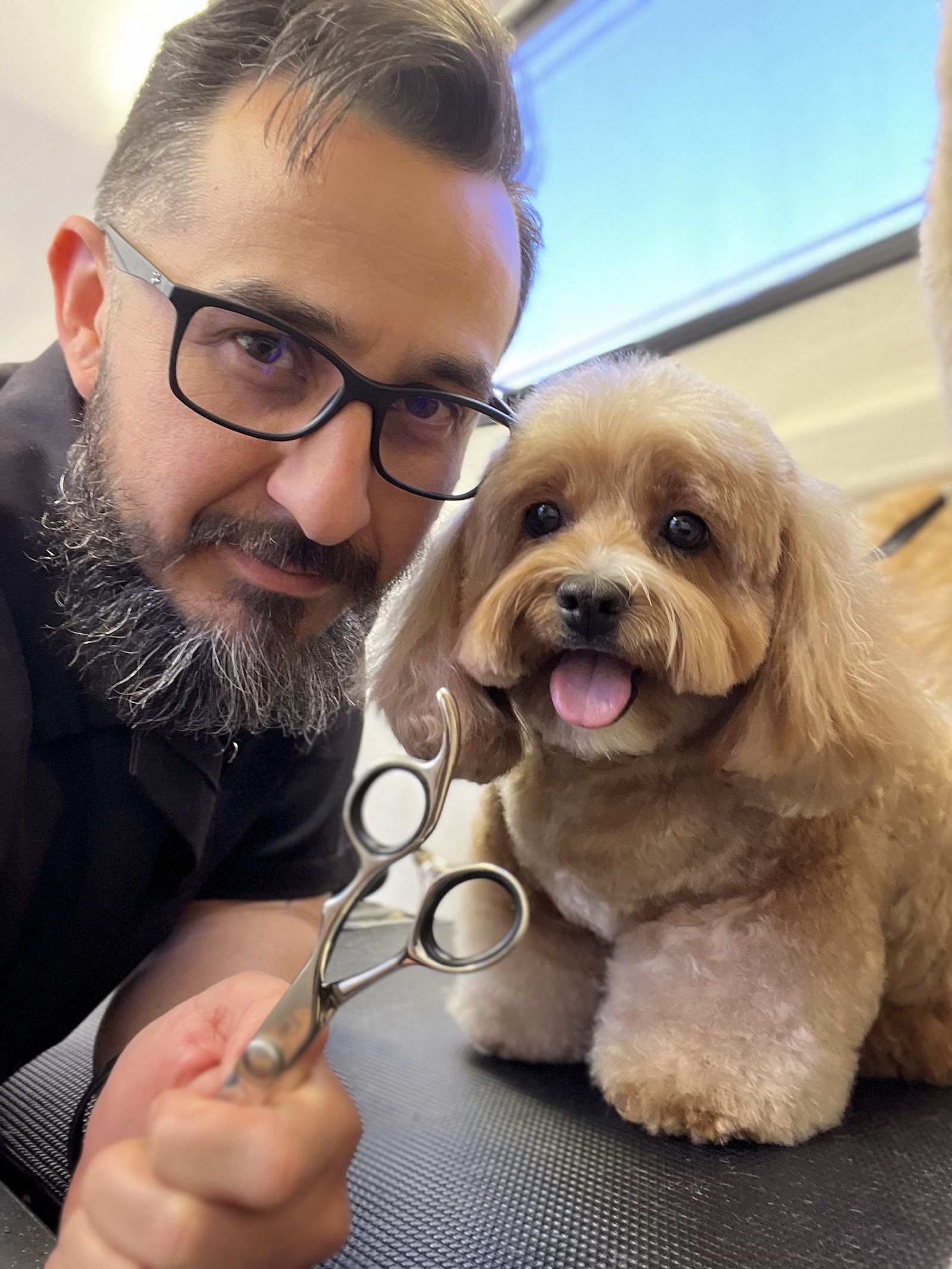 The Opulent Pet Spa & Grooming - Oran Park